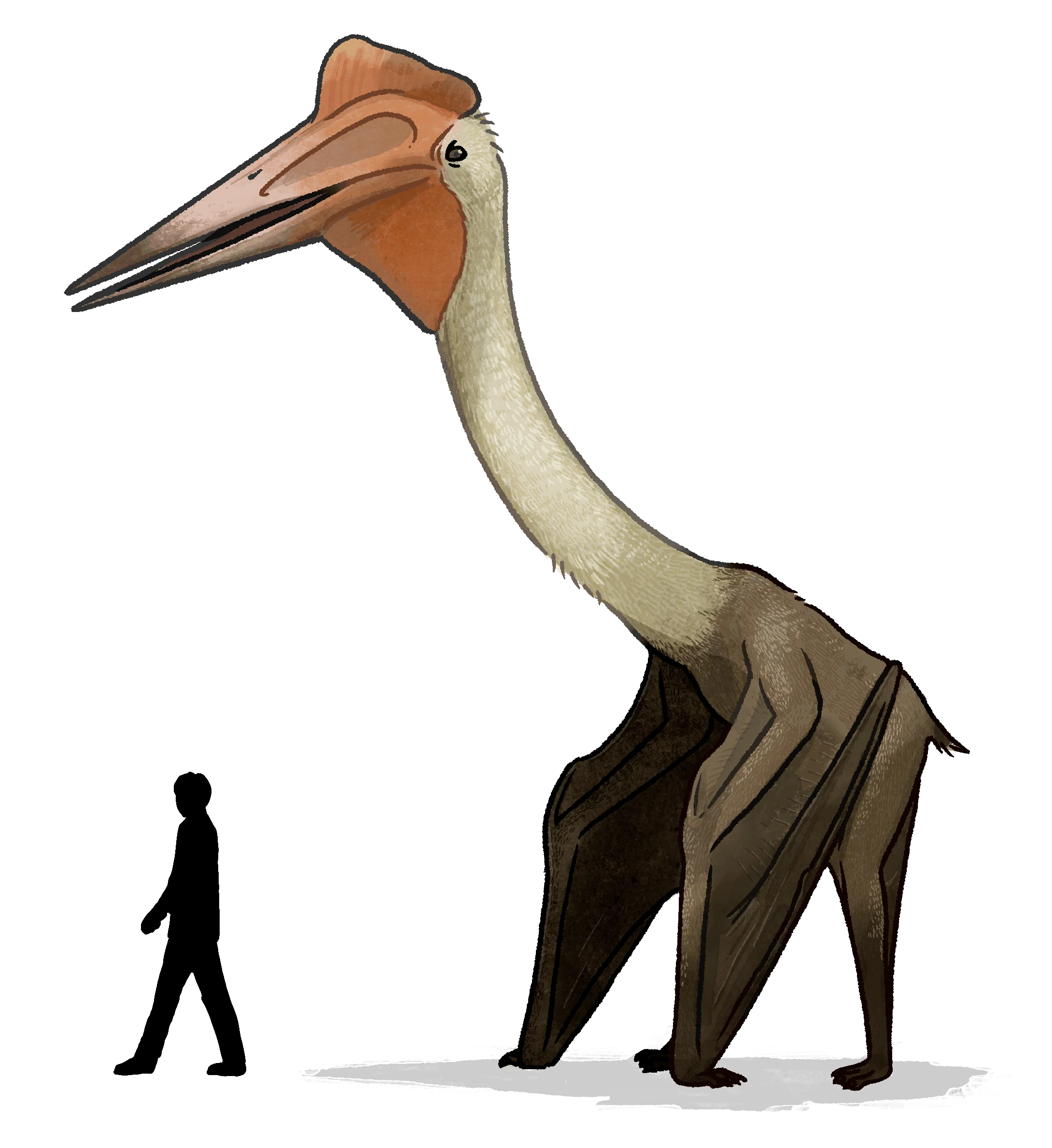 1657245755874-CFfDIW6peP.png