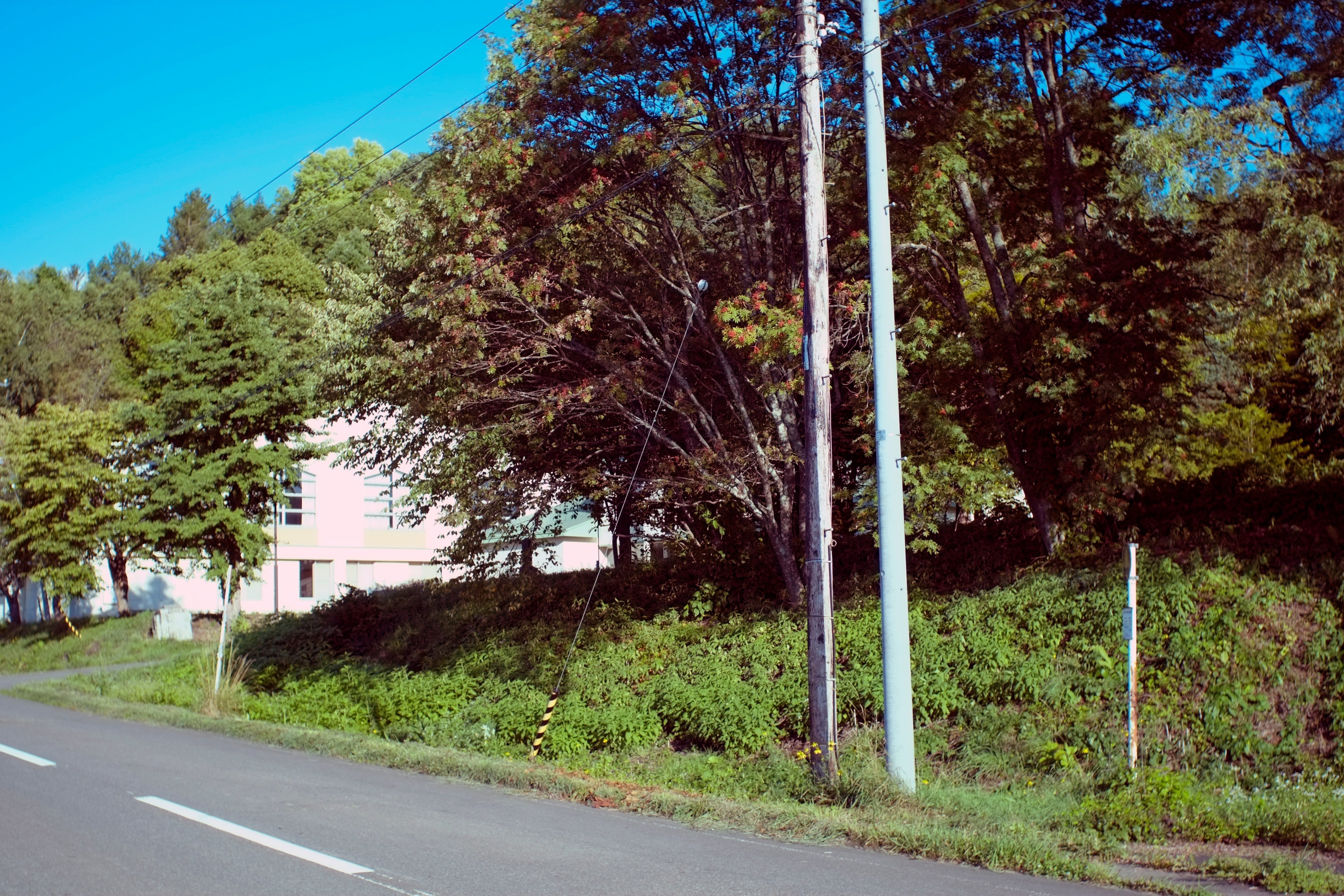當麻町史 当麻町史 奈良県北葛城郡当麻町教育委員会 昭和51年 初版 新品 です Amazon.co.jp: 當麻町史 当麻町史 奈良県北葛城郡当麻町教育委員
