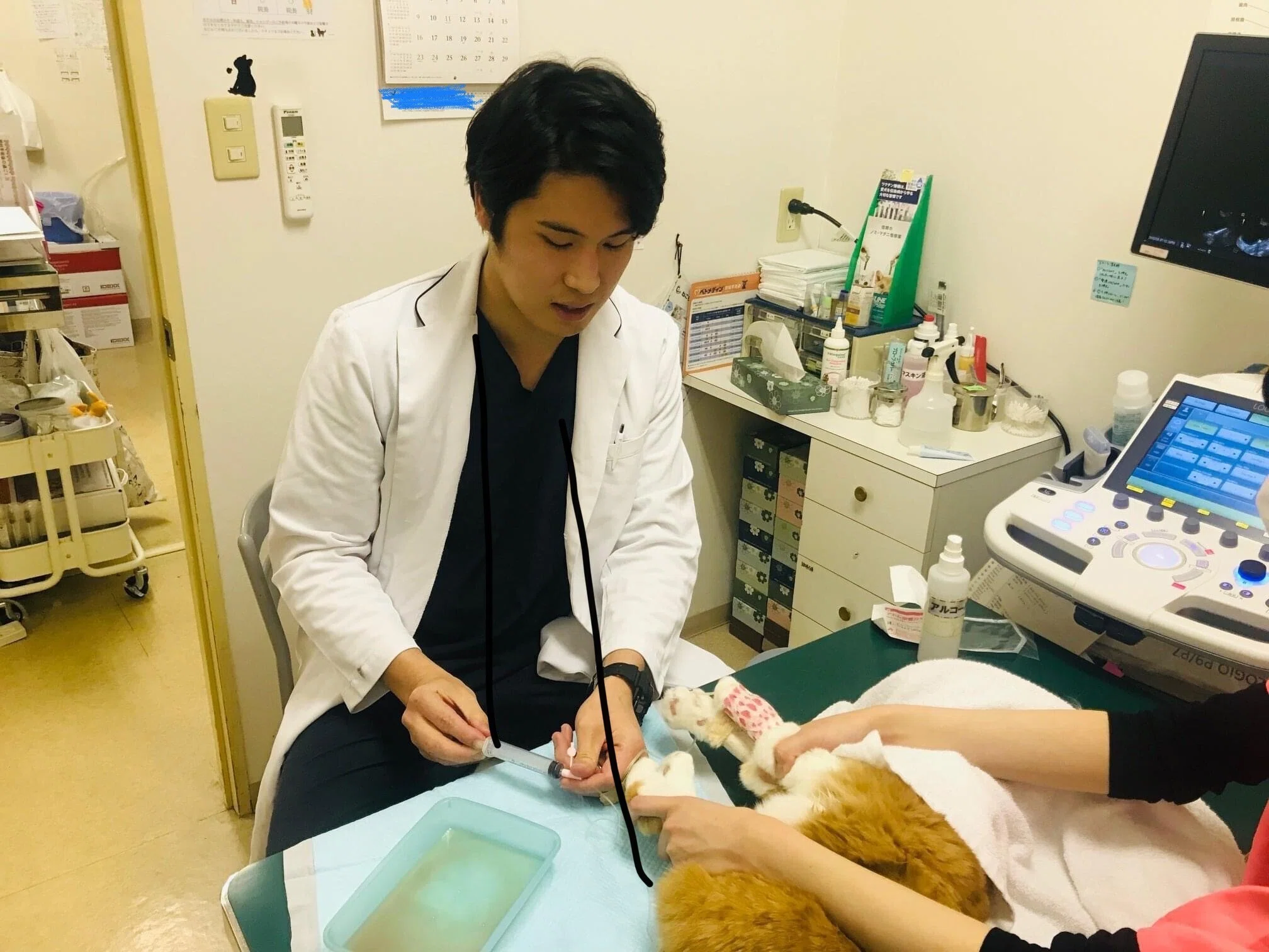 獣医さんになりたいと言われたい｜森田慶｜街の獣医さん