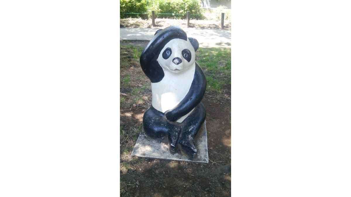 シェーするパンダ｜roadexplorer