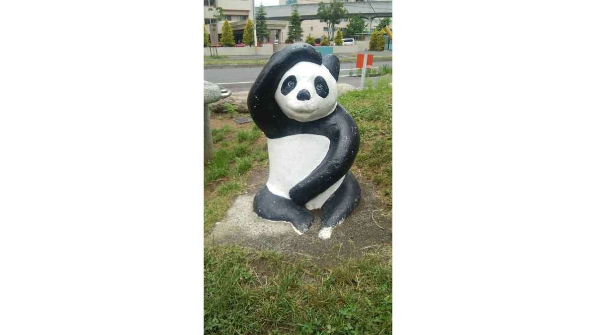 シェーするパンダ｜roadexplorer