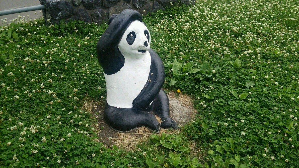 シェーするパンダ｜roadexplorer