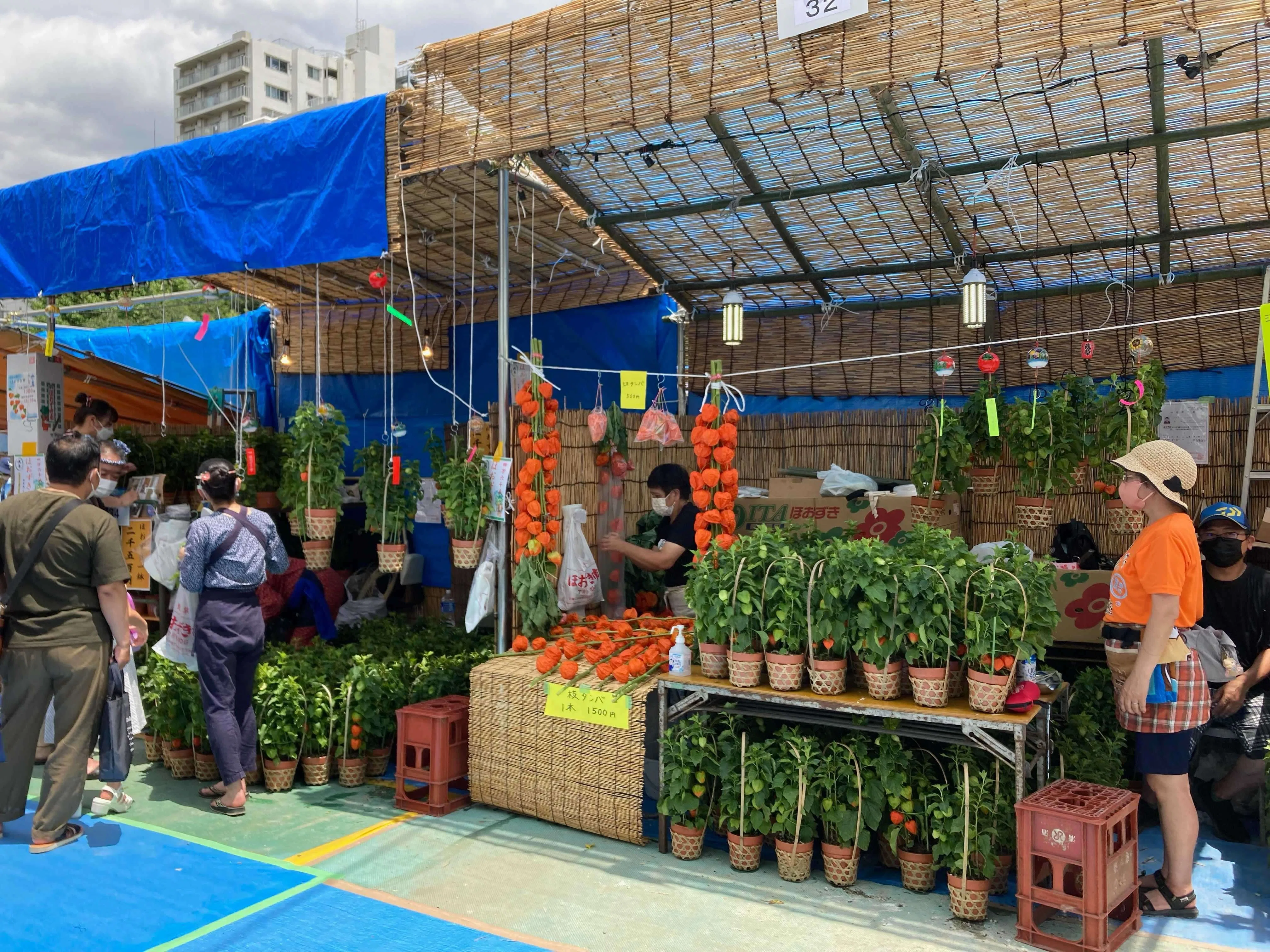 浅草 四万六千日ほおずき市（7月9日〜7月10日）｜上野案内所