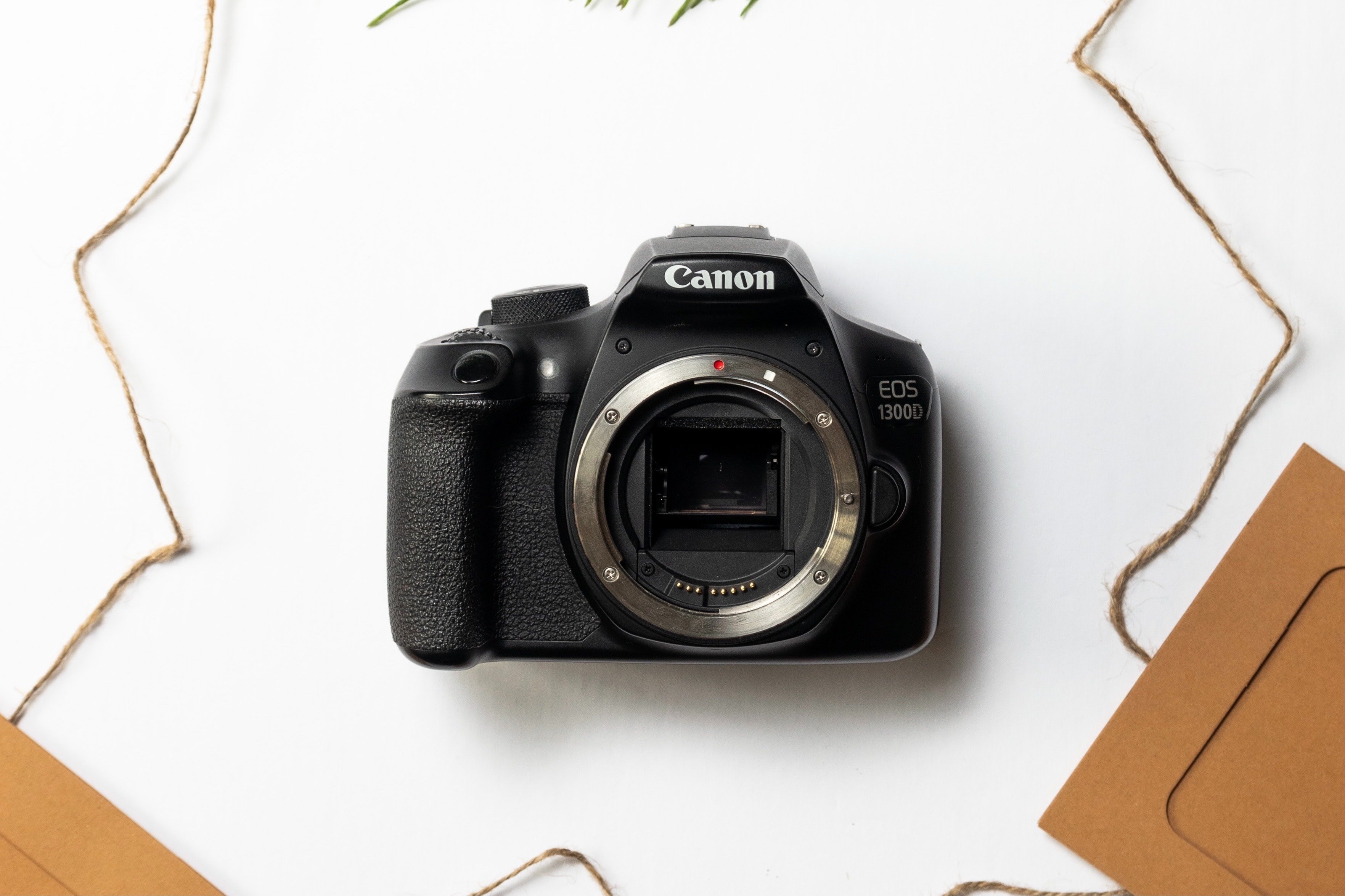 カメラにおけるマウント選びの重要性【Canon・Nikon・SONY】｜Furuya Dai