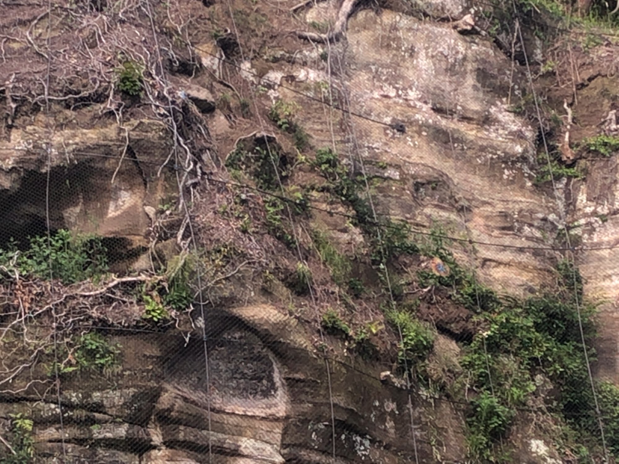 タービダイトって ゆるく楽しむ日曜地質学 22年7月10日号 ゆるく楽しむ Note タービダイトって ゆるく楽しむ日曜地質学 22年7月10日号 ゆるく楽しむ Note