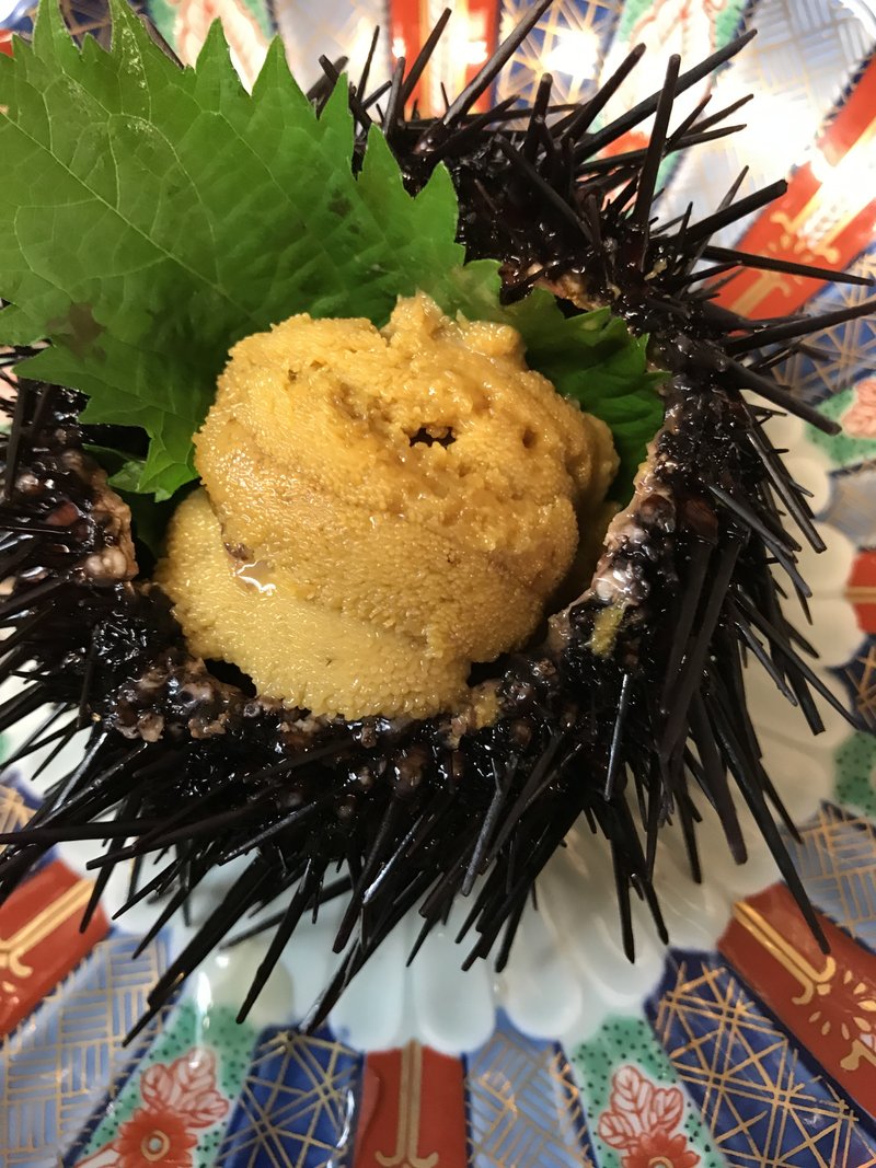 三陸の短いウニの漁期が始まりました！！開口と言って、ウニが採れる日は、天候や海の状態との兼ね合いで決まるので、ごくわずか。採ったウニは殻ごと、そして三陸では牛乳瓶に塩水と共に詰めて出荷、販売されます。