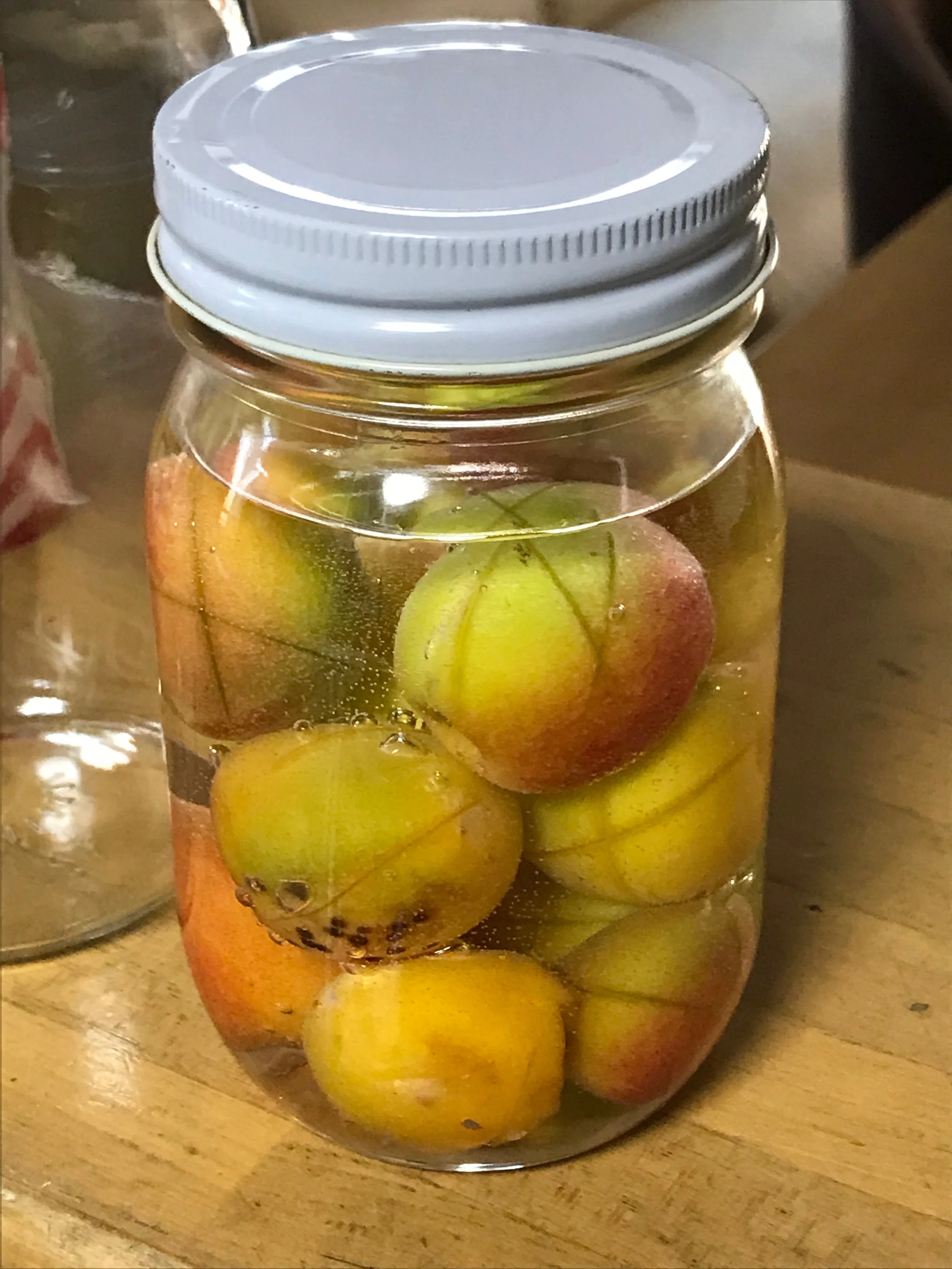 梅の自家製酵母パン｜ゆめねこキッチン