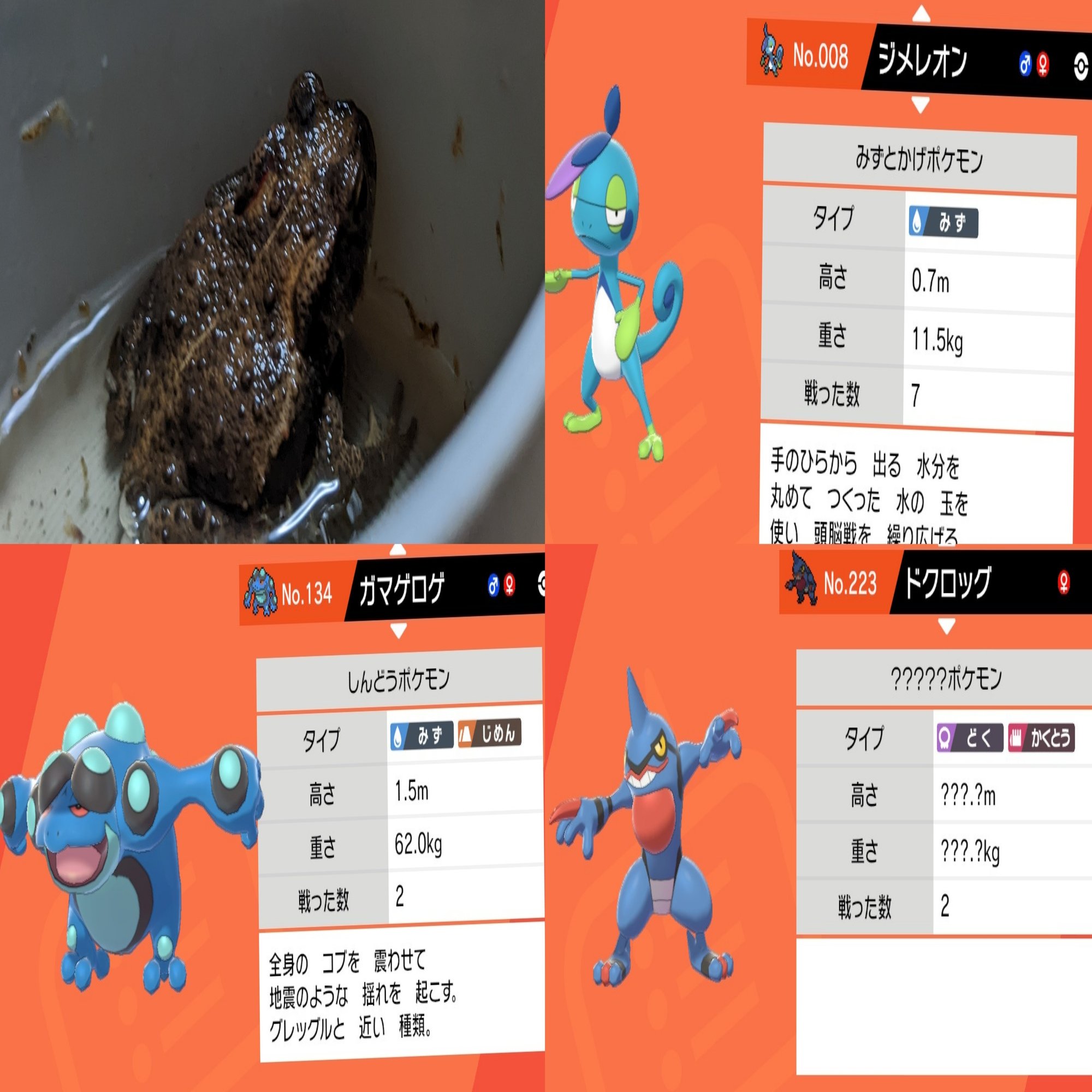 ポケモン 子が馴染みある 生き物 これが良い ゆうか 主婦ゲーマー Note