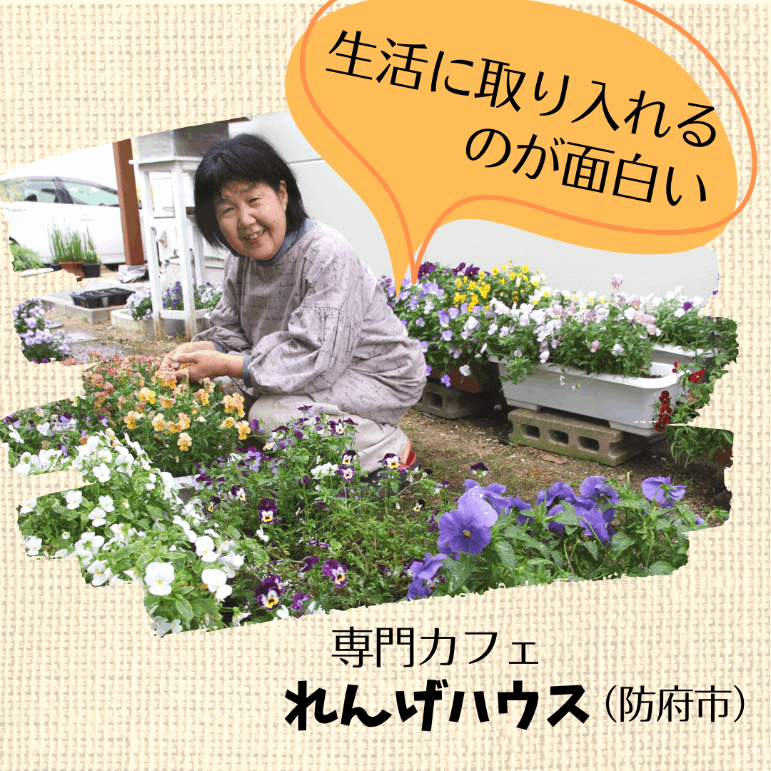 少し加えるだけで華やかな気分 エディブルフラワー 中国地方に専門カフェや農家 中国新聞u35 Note