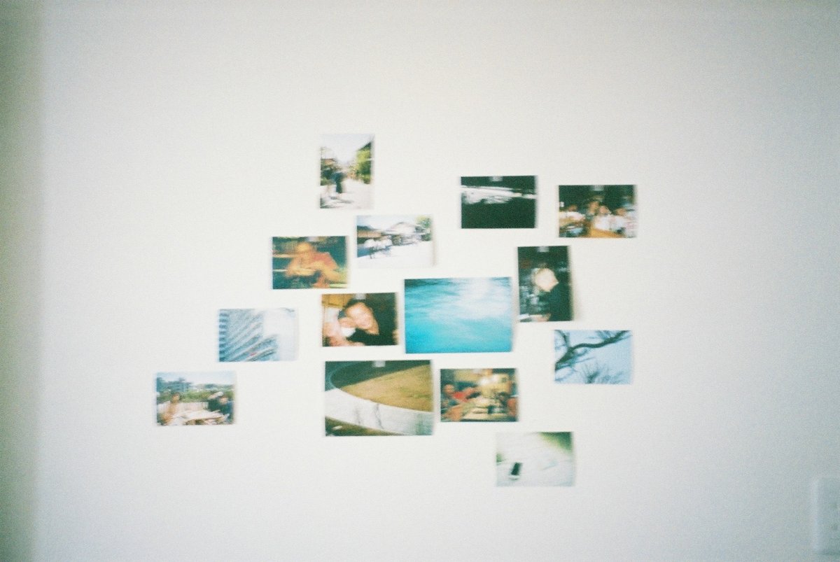 壁に貼られたたくさんのフィルム写真の、フィルム写真。