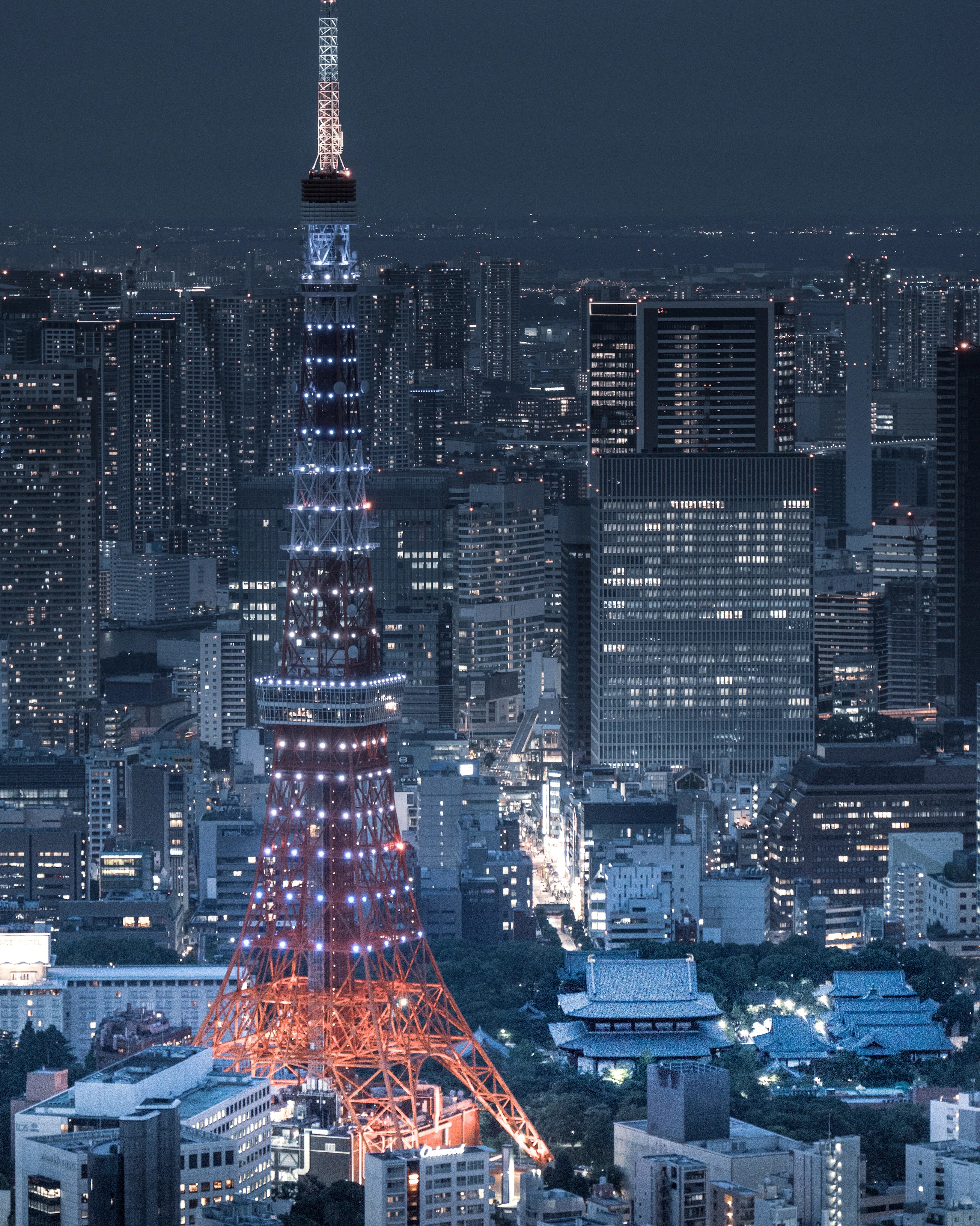 夜を迎える東京タワーと増上寺 Takuya Akahoshi 写真note Note