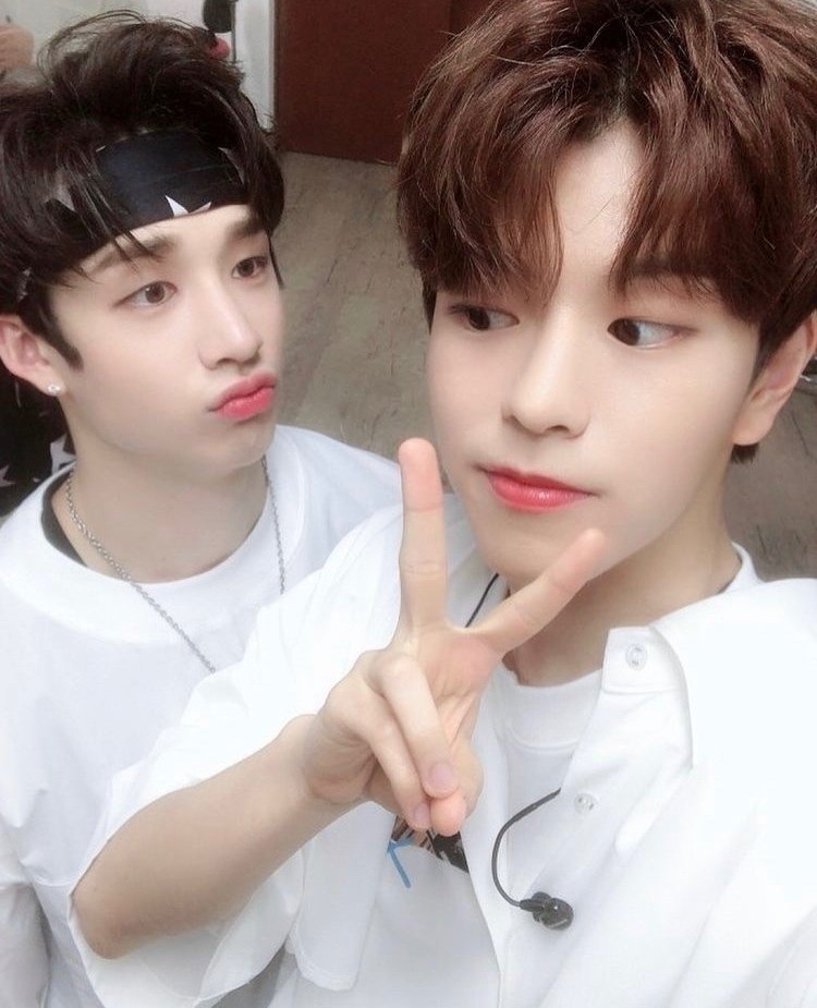 チョンダムズ🐺🐶(バンチャン✖️スンミン)｜はんこ。