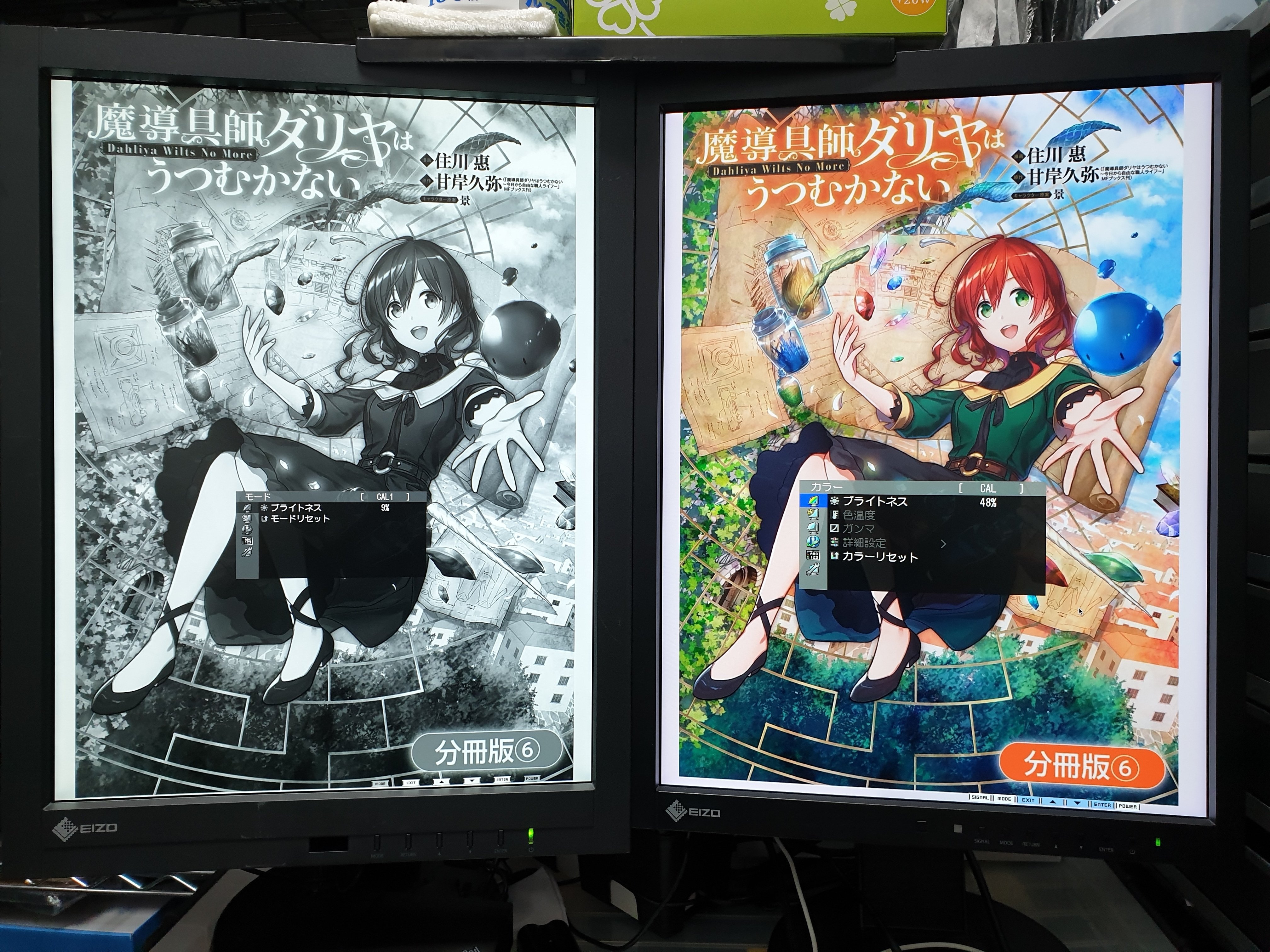 今が旬(？)の縦型モニター EIZO RadiForce MX215 & GX340