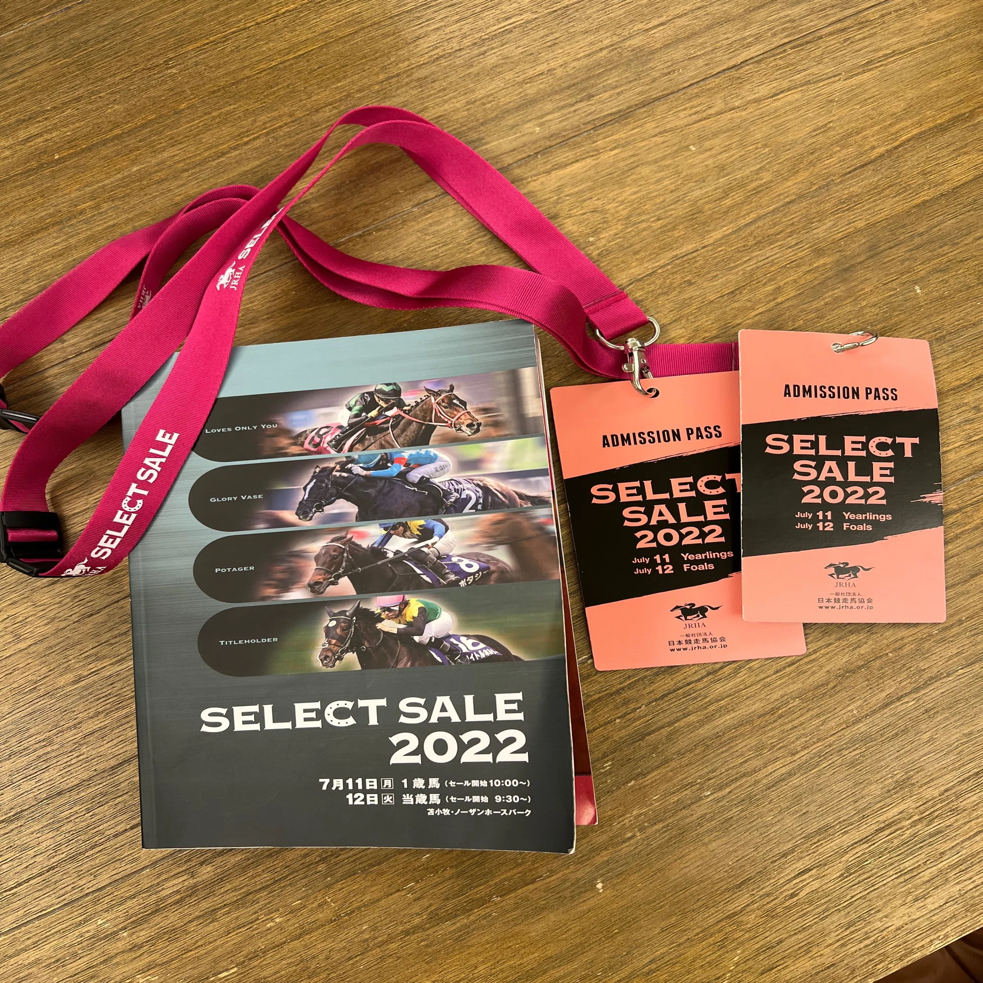 セレクトセール2022で初めての馬を買いました【デルシエロ】｜白石 