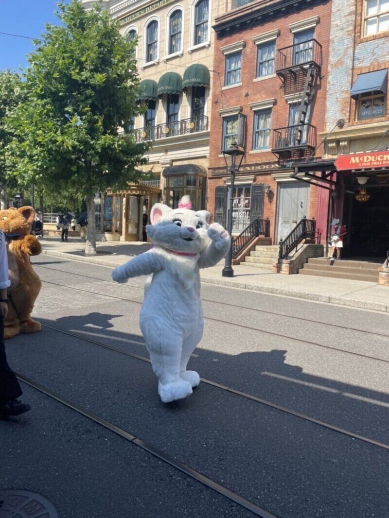 主婦が長野から お一人様ディズニーシー をやってみたらこうなった Lhouse エルハウス Note