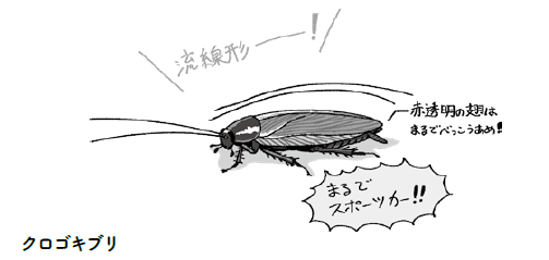 ゴキブリにも種類があります イースト プレス公式note Note