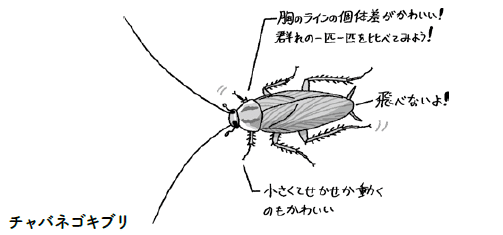 ゴキブリにも種類があります イースト プレス公式note Note