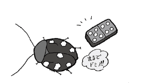 ゴキブリにも種類があります イースト プレス公式note Note ゴキブリにも種類があります イースト プレス公式note Note