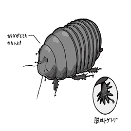 ゴキブリにも種類があります イースト プレス公式note Note