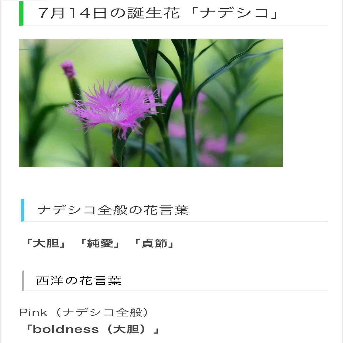 7月14日生まれのあなたへ Chiyo Note