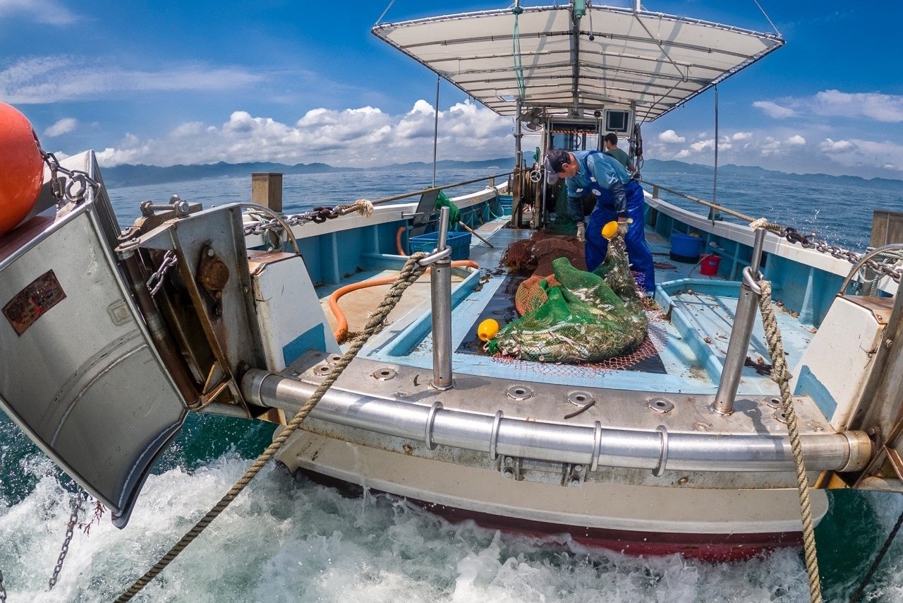 ベテラン漁師たちに鍛えられ独り立ちする若者 【ニッポンの魚獲