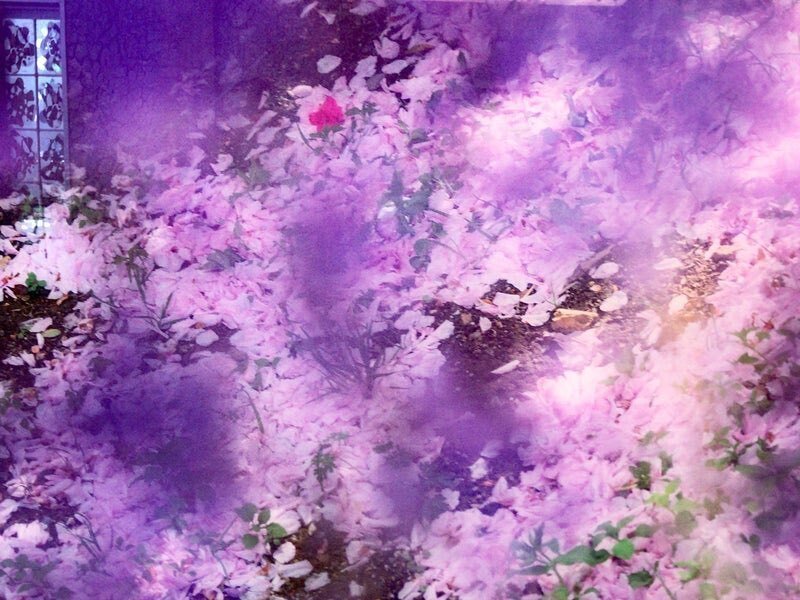 写真あり 蜷川実花 瞬く光の庭 を本音レポート 22年夏アート展 おとな女子のホンネ情報局 Note