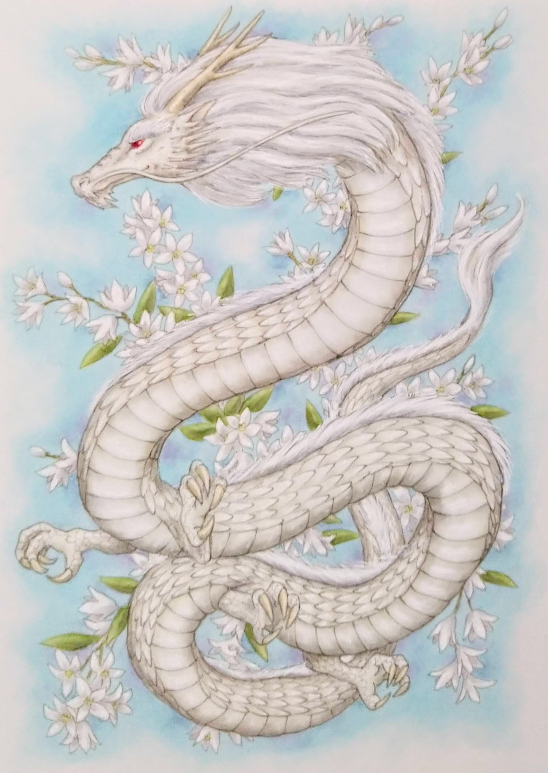 白龍と花 おお子 Note