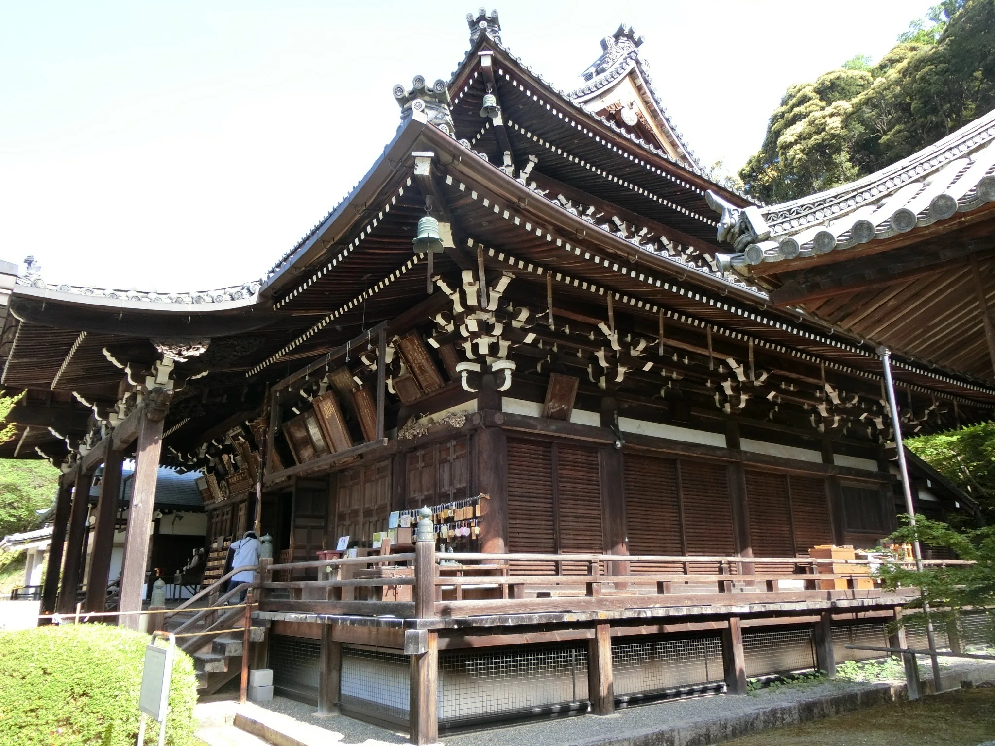 京都No.1花の寺「三室戸寺」西国三十三所!光仁天皇勅願or大神神社の