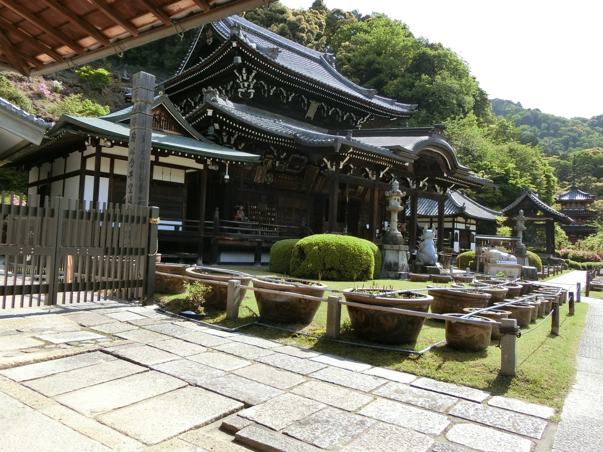 京都No.1花の寺「三室戸寺」西国三十三所!光仁天皇勅願or大神神社の