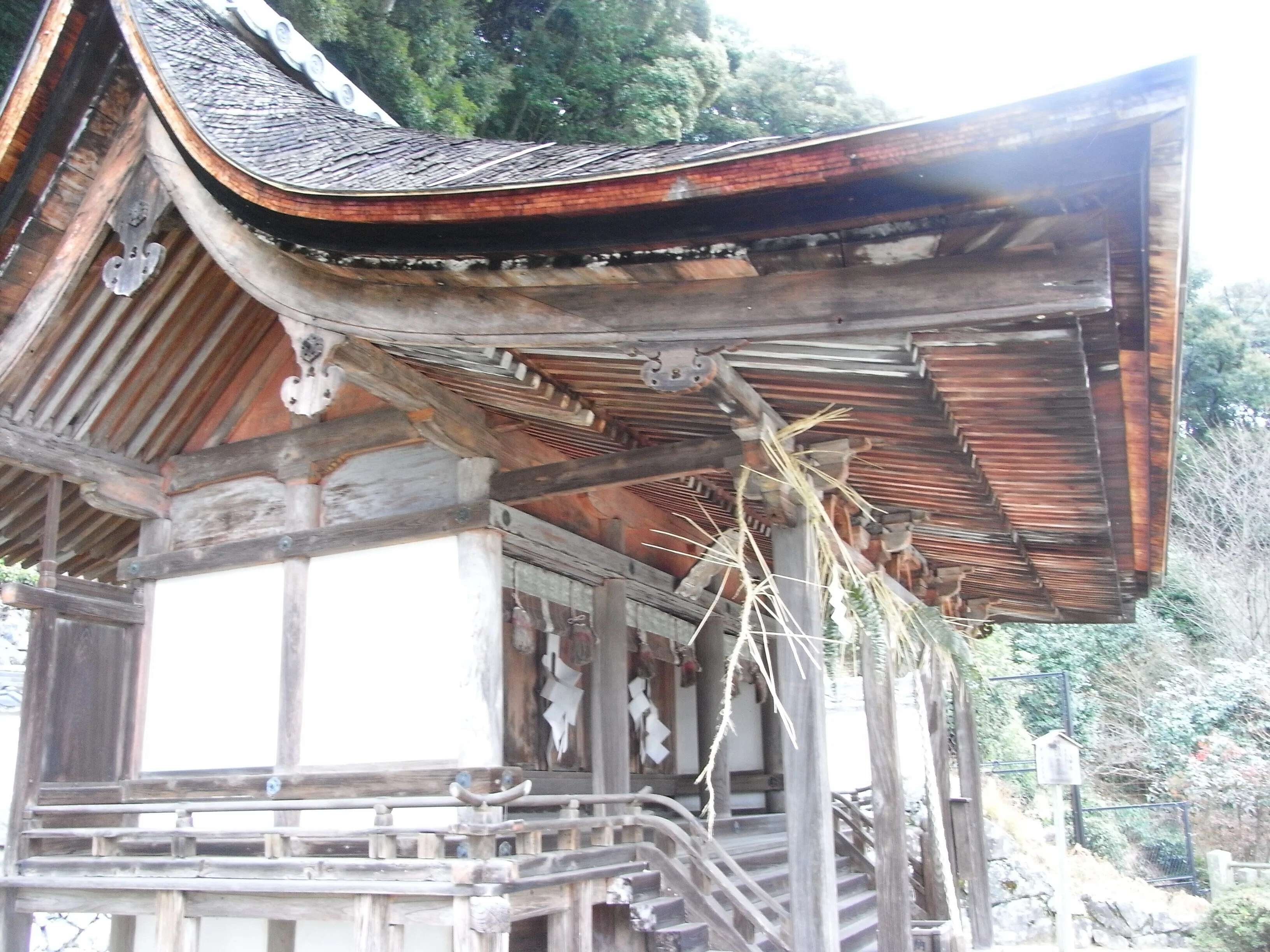 京都No.1花の寺「三室戸寺」西国三十三所!光仁天皇勅願or大神神社の