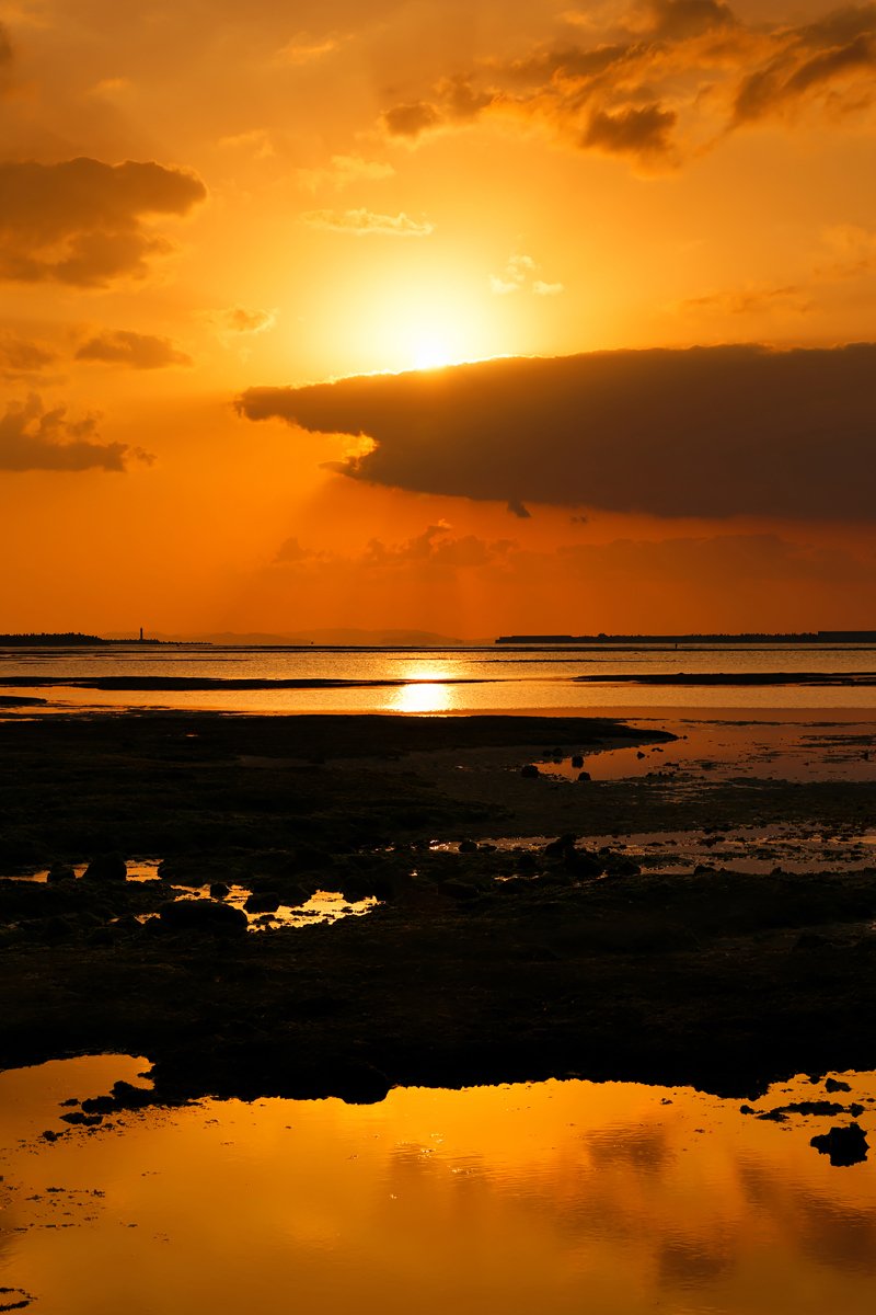反射する夕日｜Masaki Senko