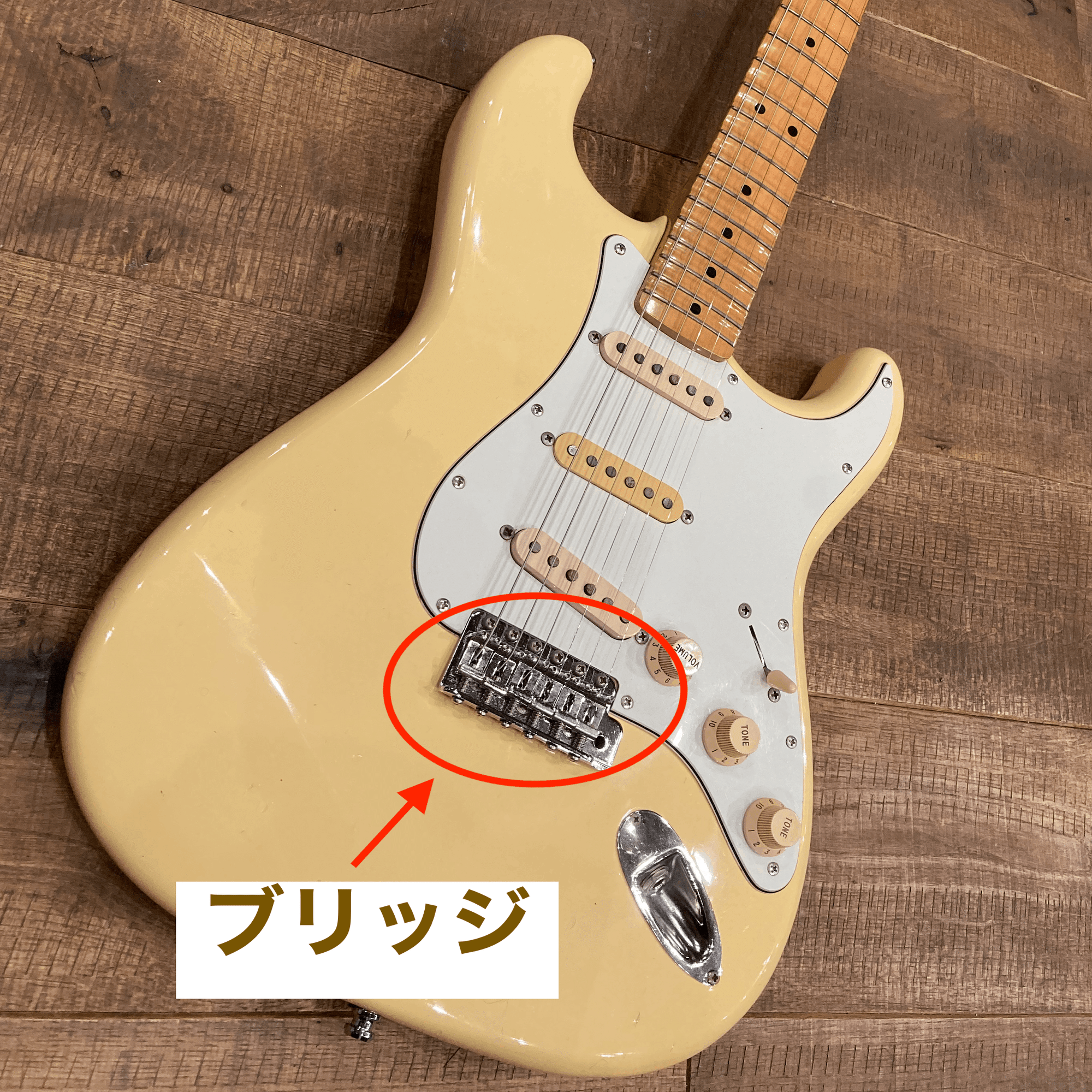 ブリッジ・ミュート】ギターのテクニック解説｜Music DOJO