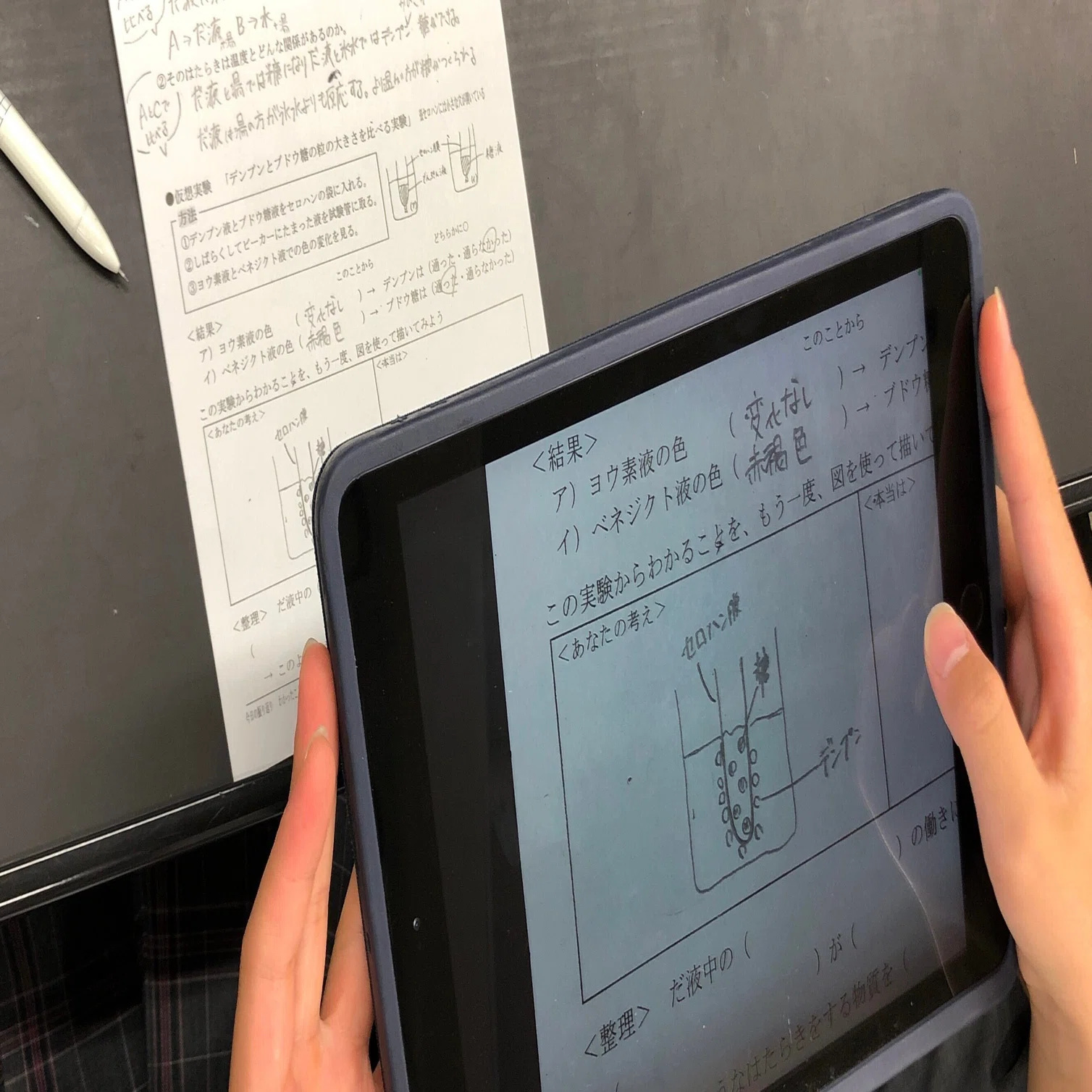 消化酵素のはたらきの整理 Yanotea Note