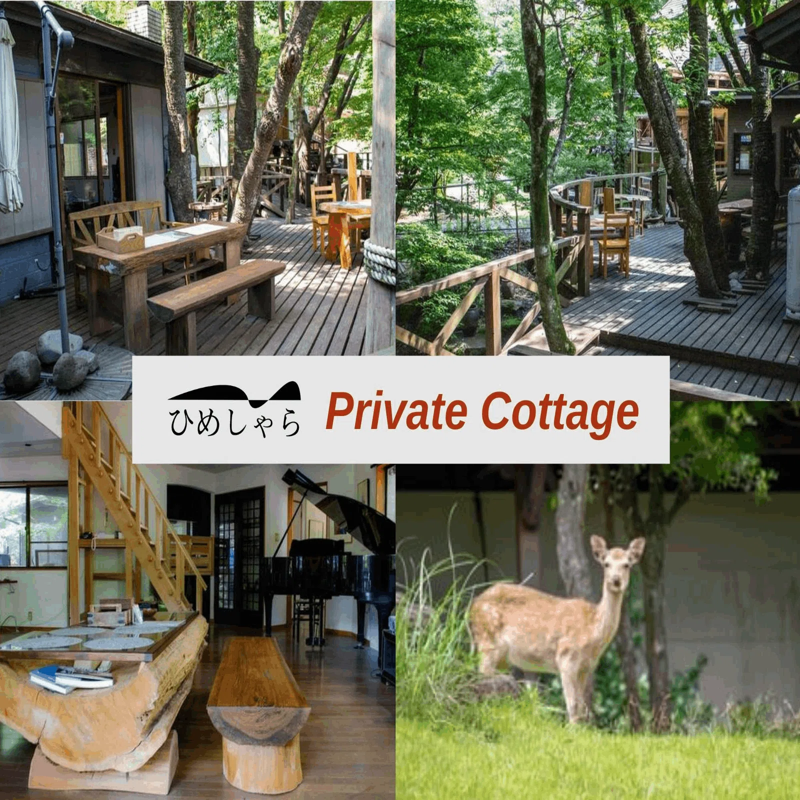 九州特集 この夏はここで決まり 九州の 穴場 キャンプ場9選 Excamp 穴場キャンプ場情報発信 Note