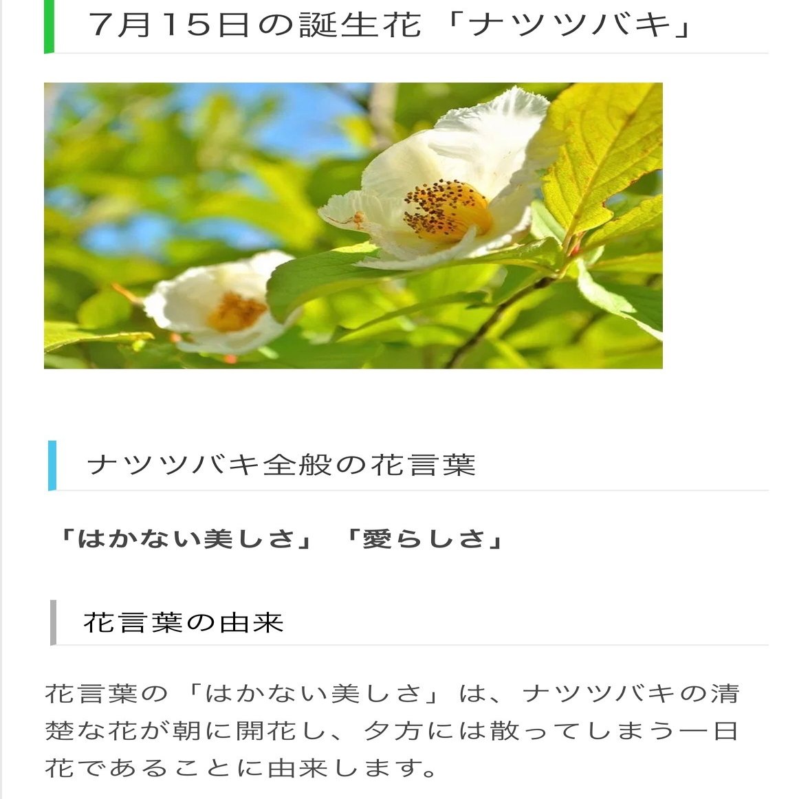 7月15日生まれのあなたへ Chiyo Note