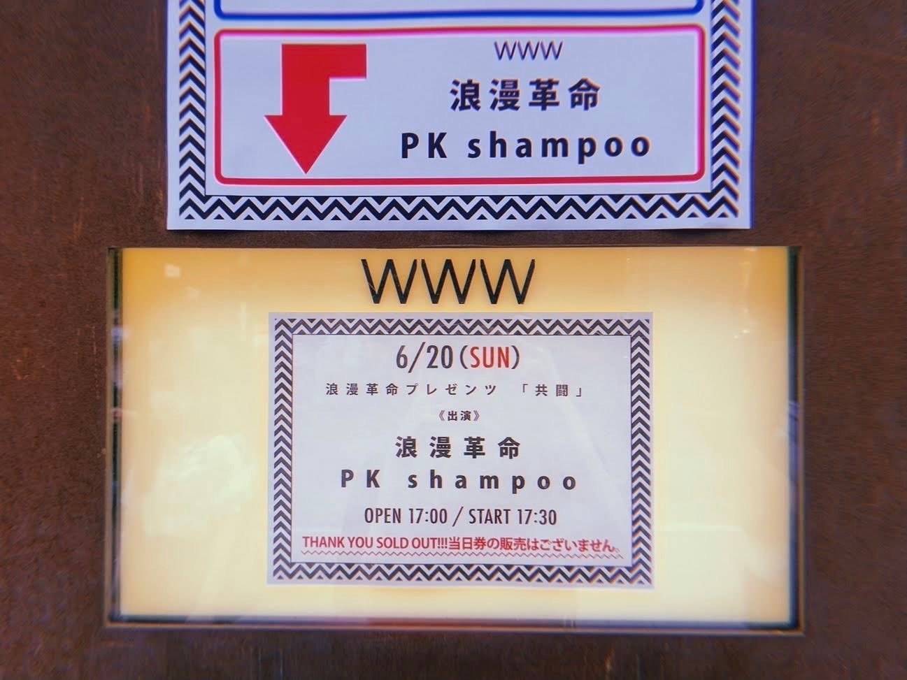 念動洗髪剤という病｜Layla