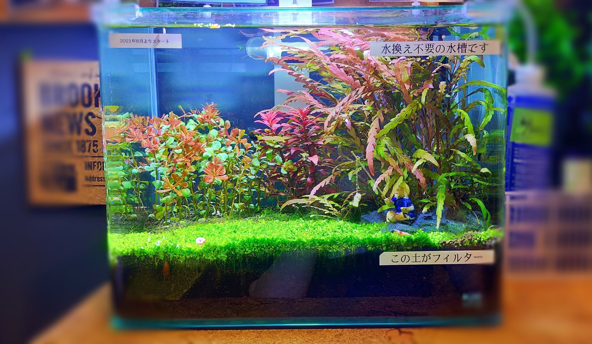 ソイル交換のやり方 アクアステージ21スナモ店 Note ソイル交換のやり方 アクアステージ21スナモ店 Note