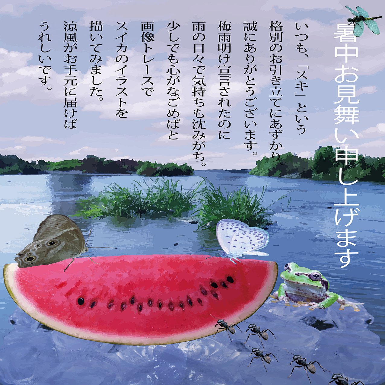暑中見舞い 海丸ミチ Note