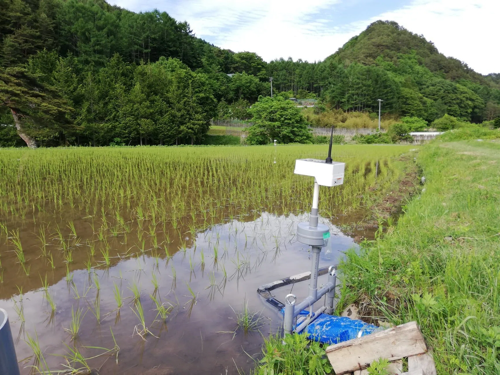 田んぼ　農業　ころがし 昔使った「ころがし」 – 塩沢米穀