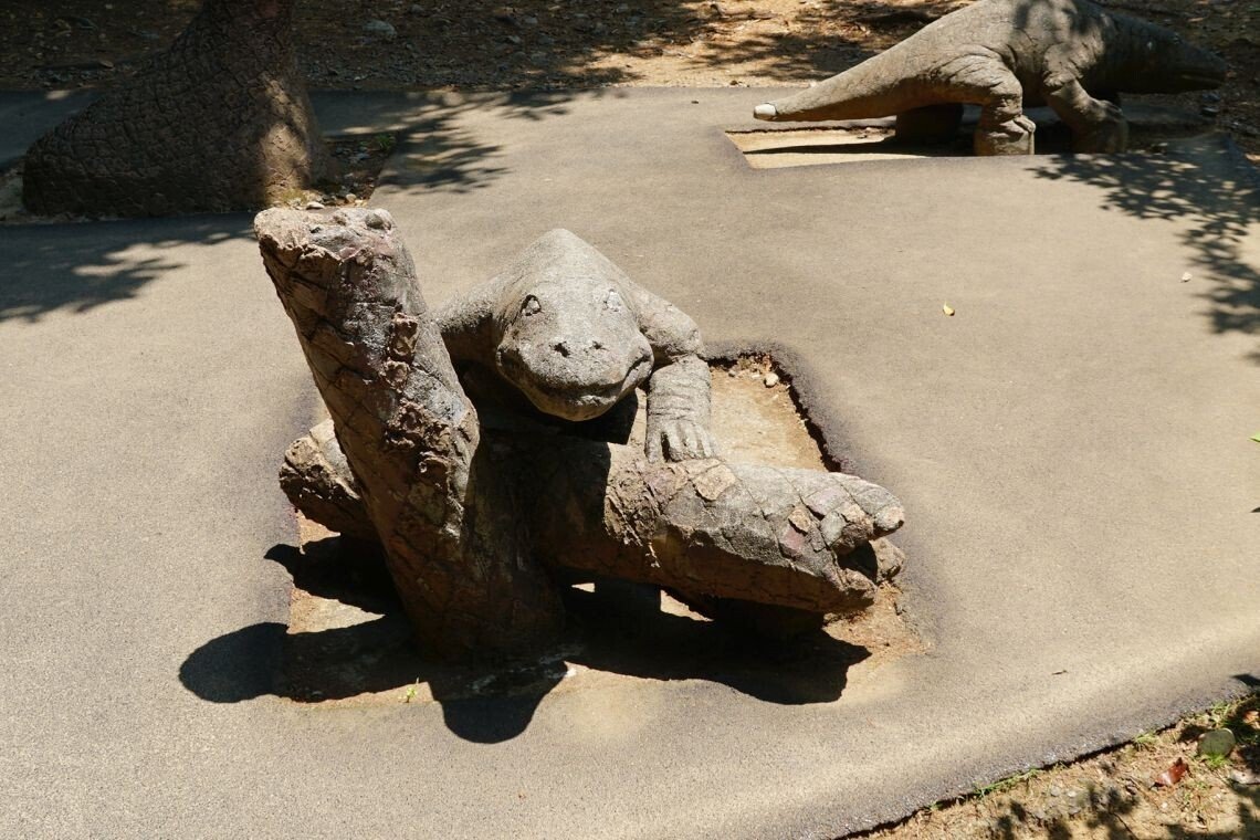 オオサンショウウオはなぜ生きた化石と呼ばれるか（2019/6/8初出