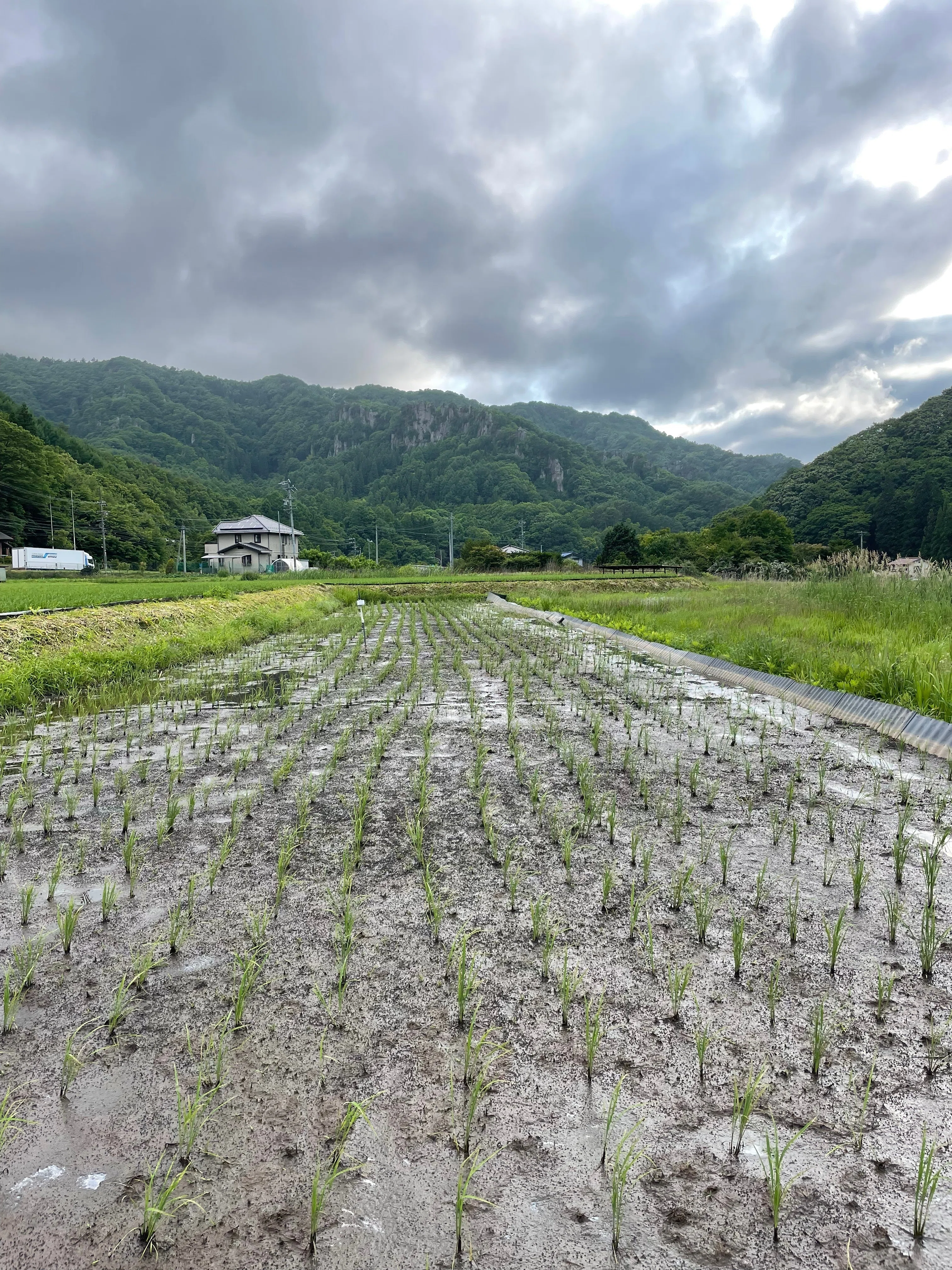 ガス湧き〟と格闘した、今年開墾した田んぼ｜江原政文/長野県佐久市