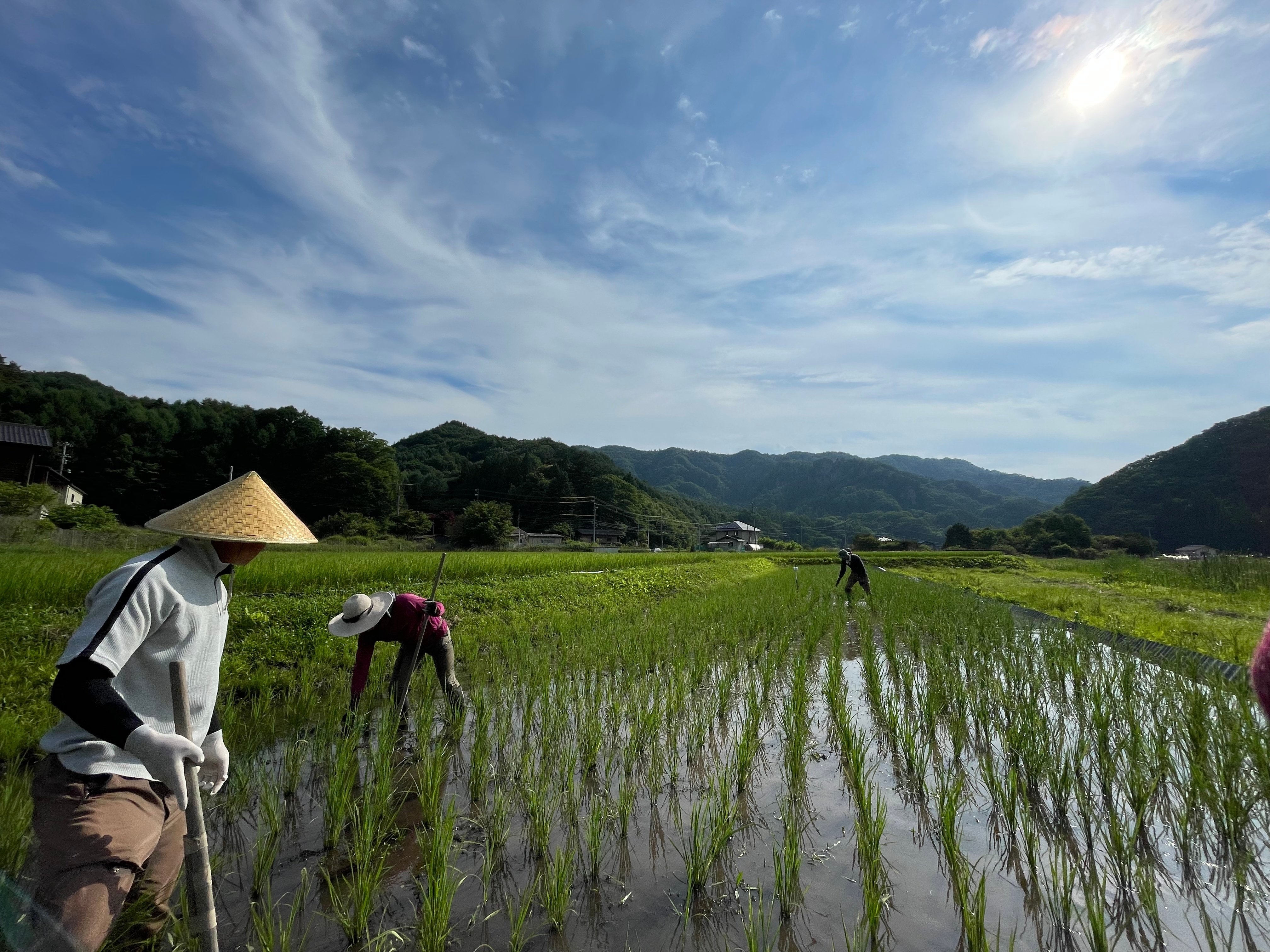 ガス湧き〟と格闘した、今年開墾した田んぼ｜江原政文/長野県佐久市