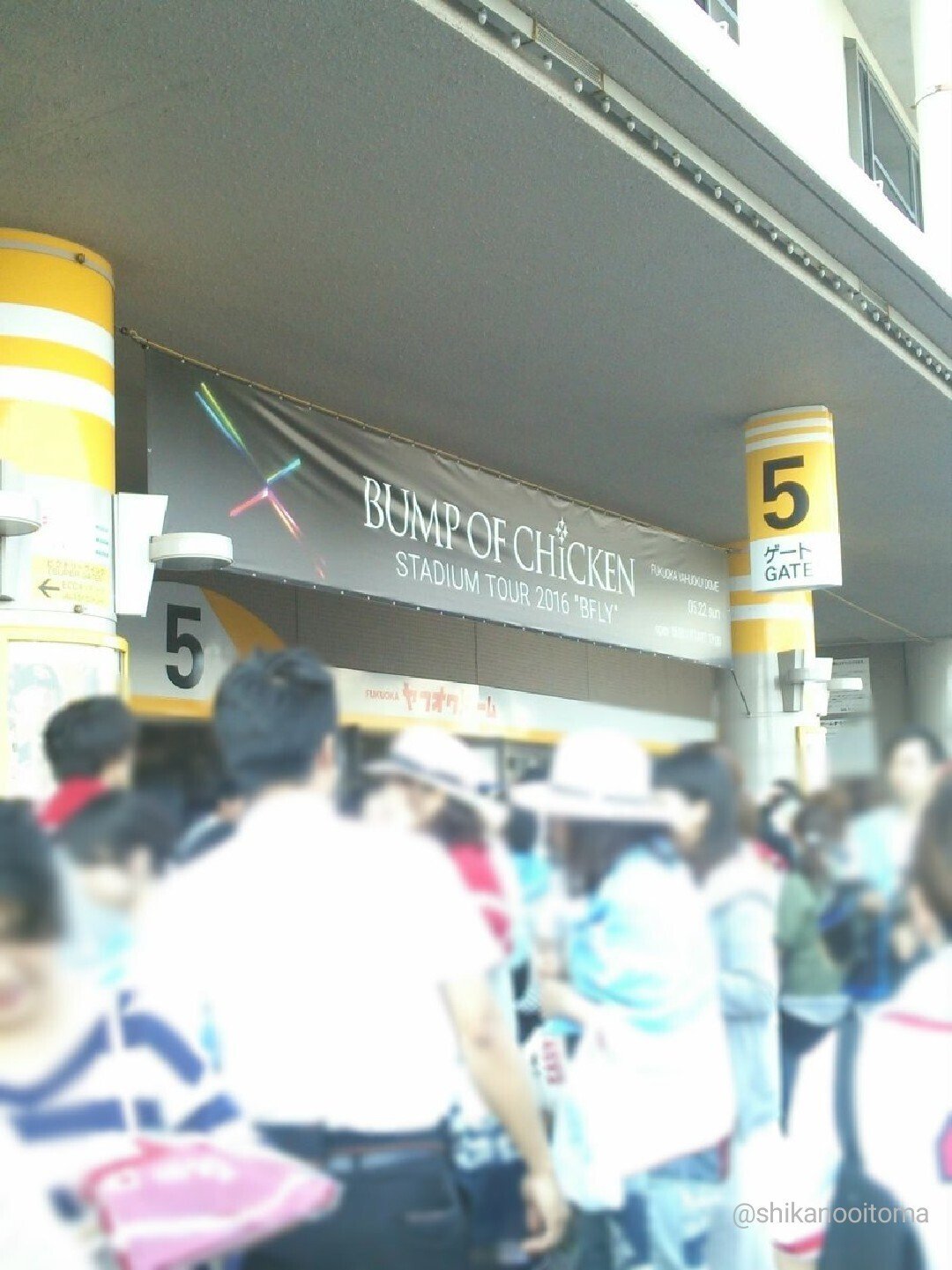 自己分析#14「特別な日常」(BUMP OF CHICKEN LIVE 2022 Silver