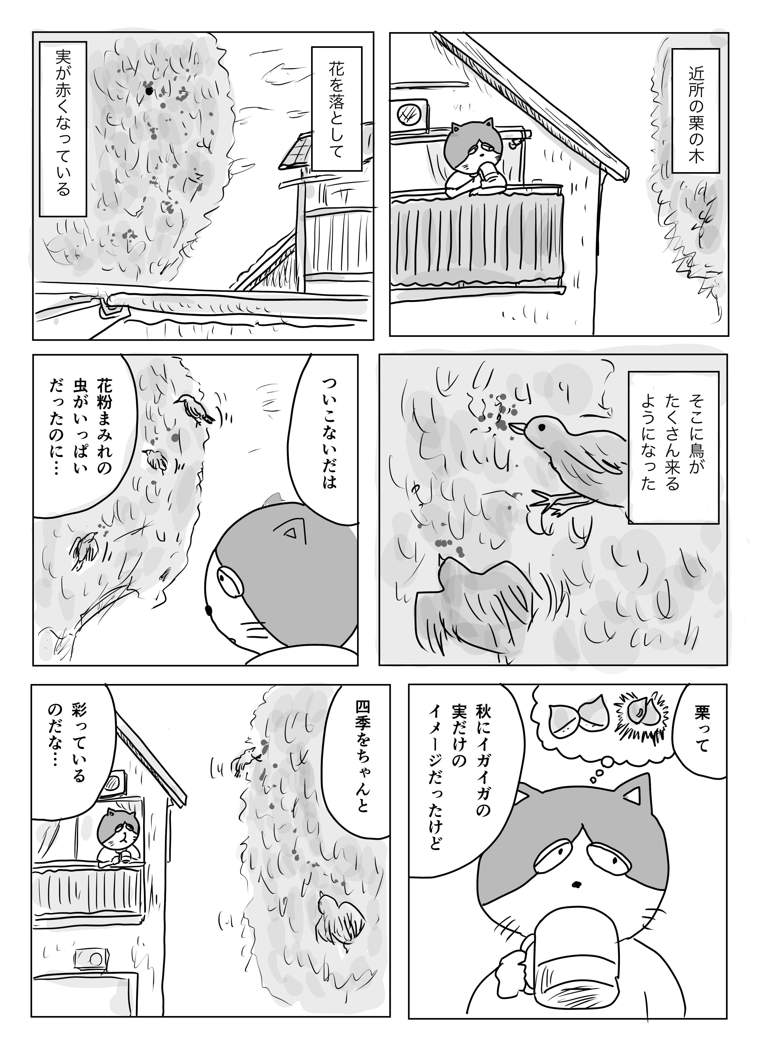 栗の木は秋だけじゃない まるいがんも Note