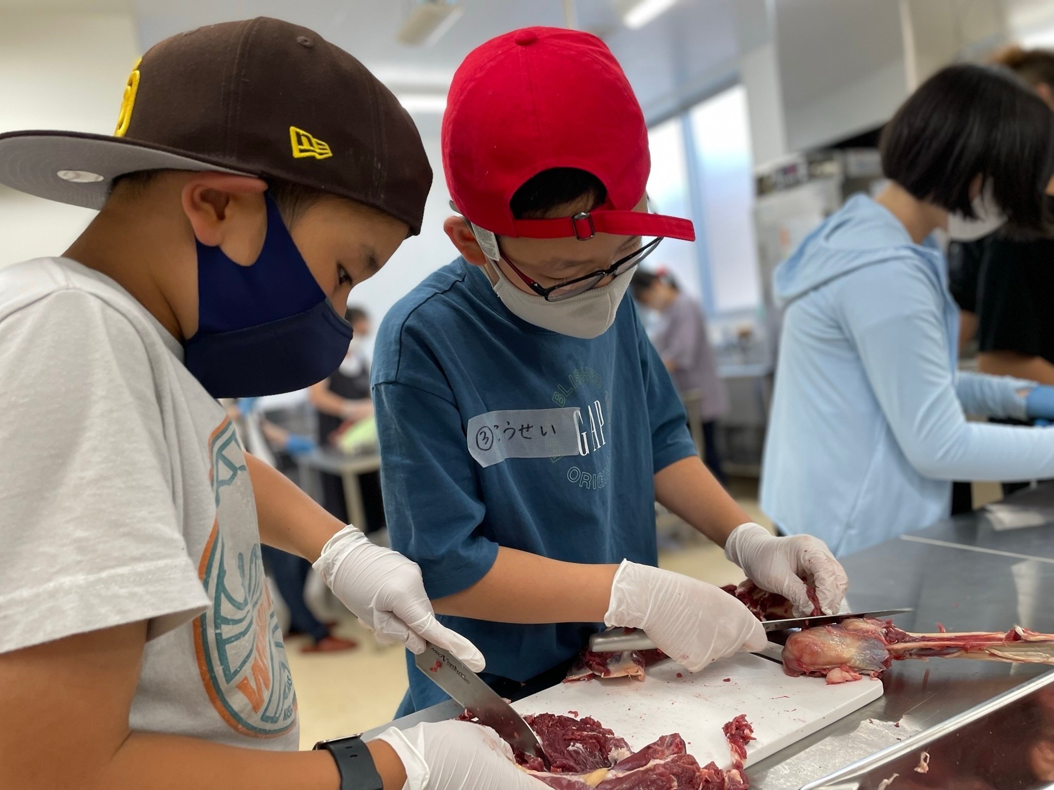 東北へ行った6年生、生きる意味を問う修学旅行｜新渡戸文化小学校