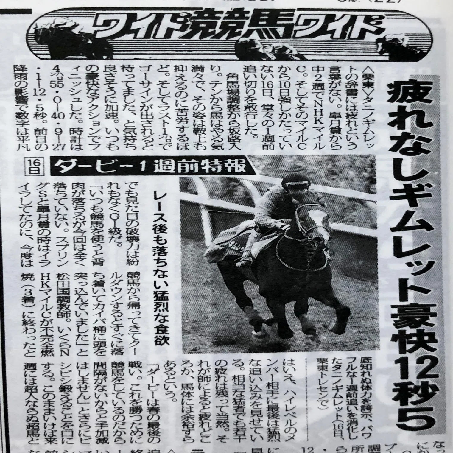 美学と信念の「ウマ娘」！タニノギムレットの挑戦と娘へつながる物語を 