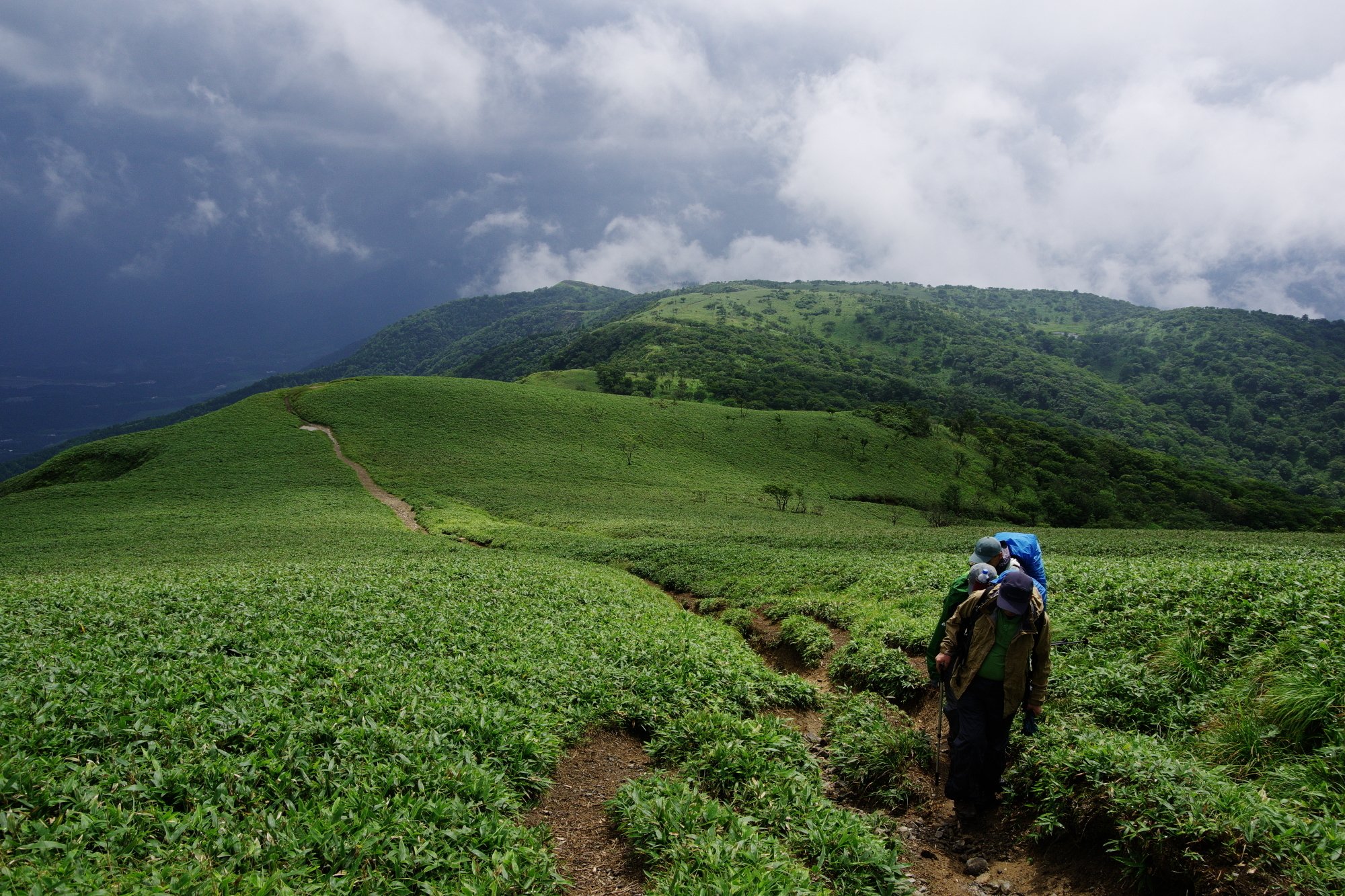 緑の稜線 川口貴史 Note