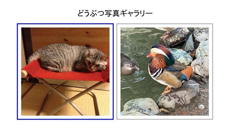 どうぶつ写真ギャラリー 2枚の画像リンクイメージ