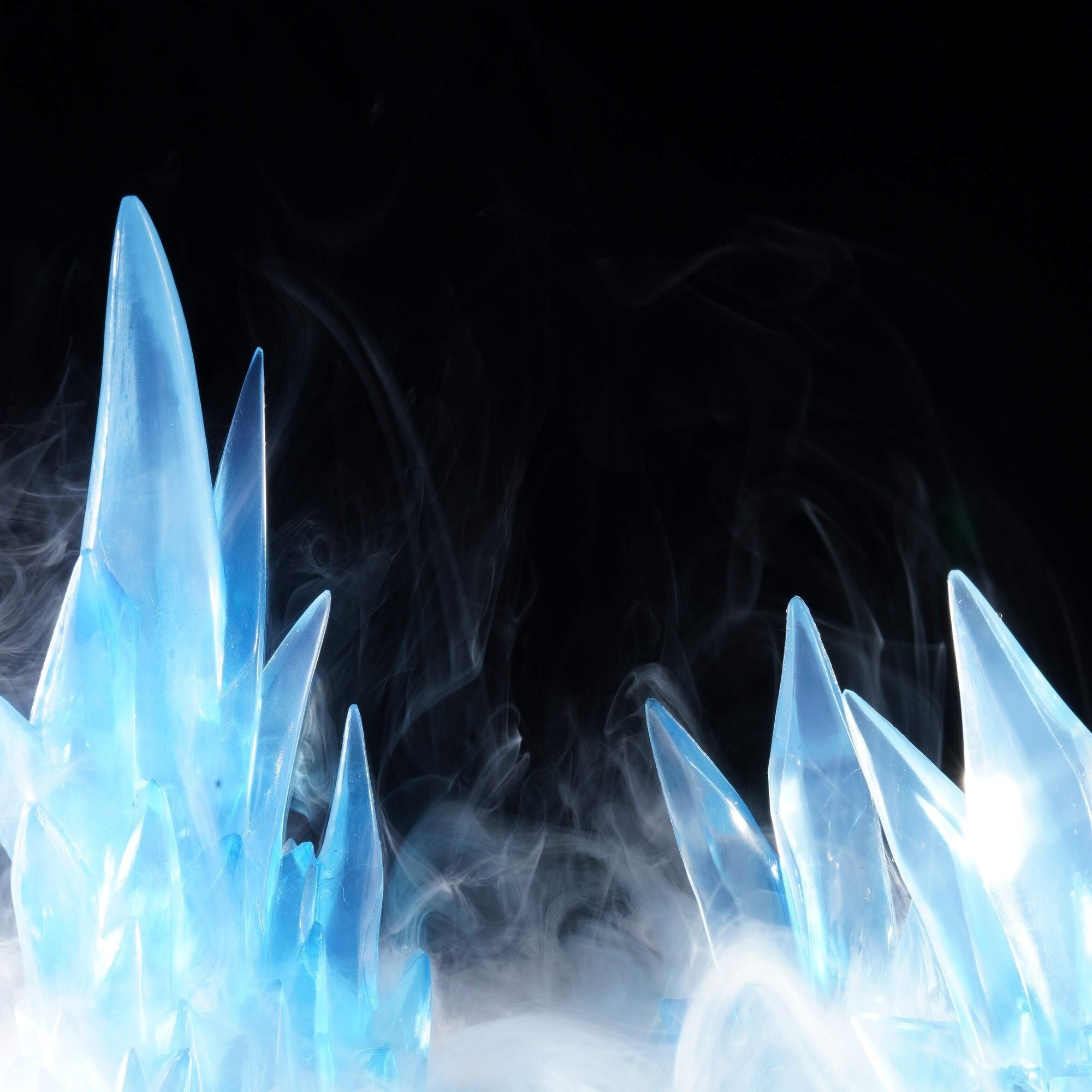 今月のフレーム撮影 Gallery Note