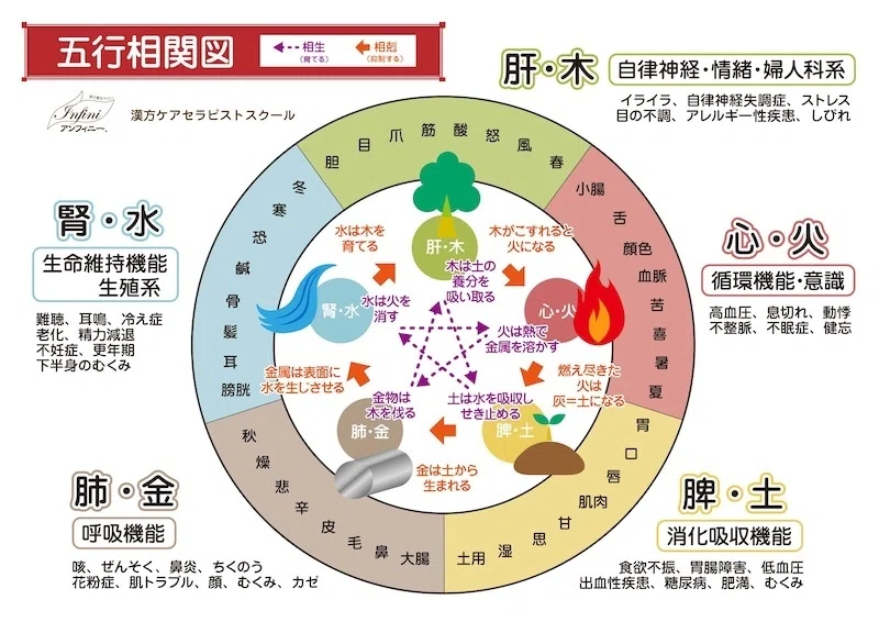 五行説に基づいた食材や体の分類（基礎）｜egusaya